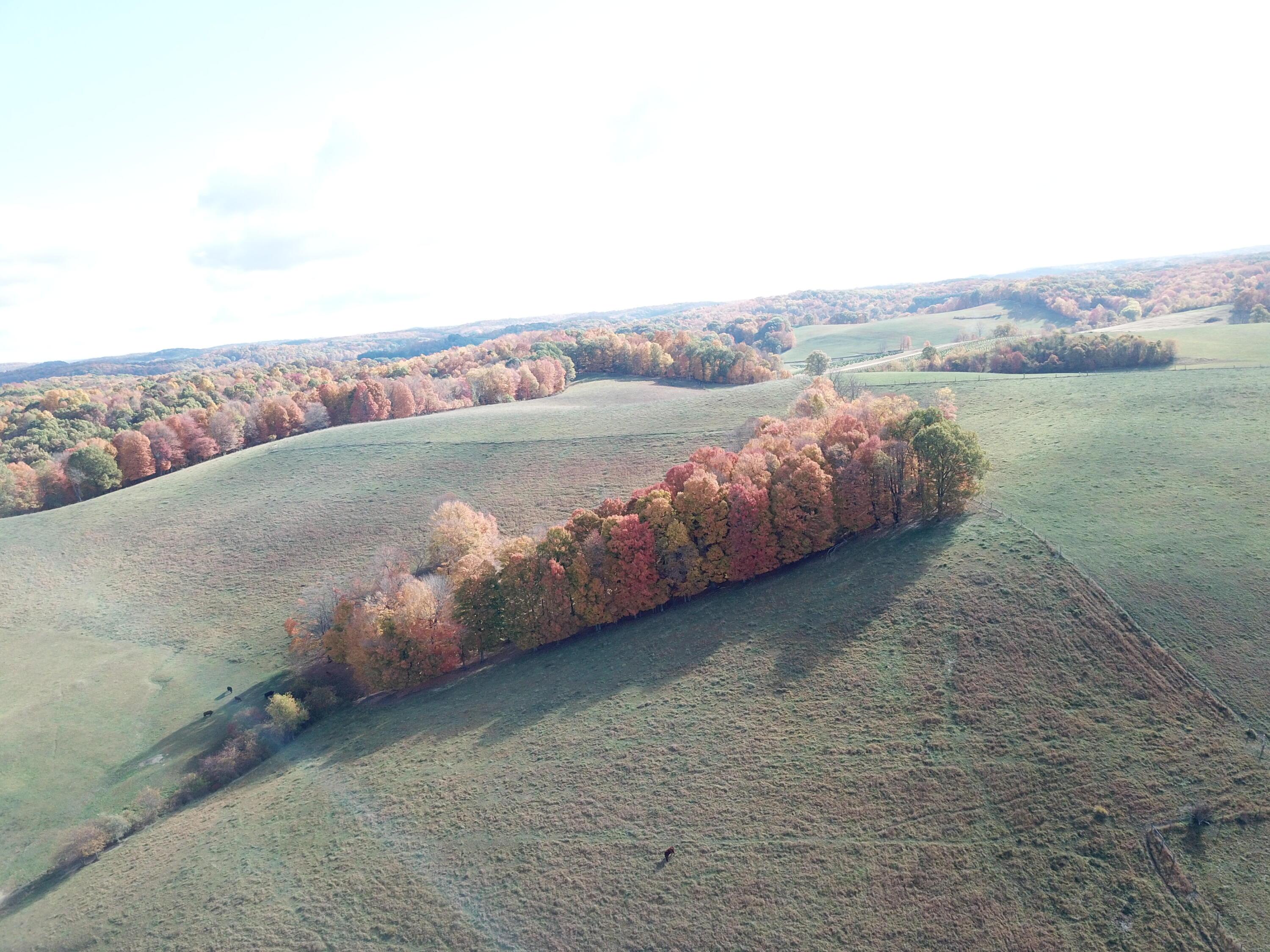 Beal Road #TRACT 4, Newark, Ohio image 5