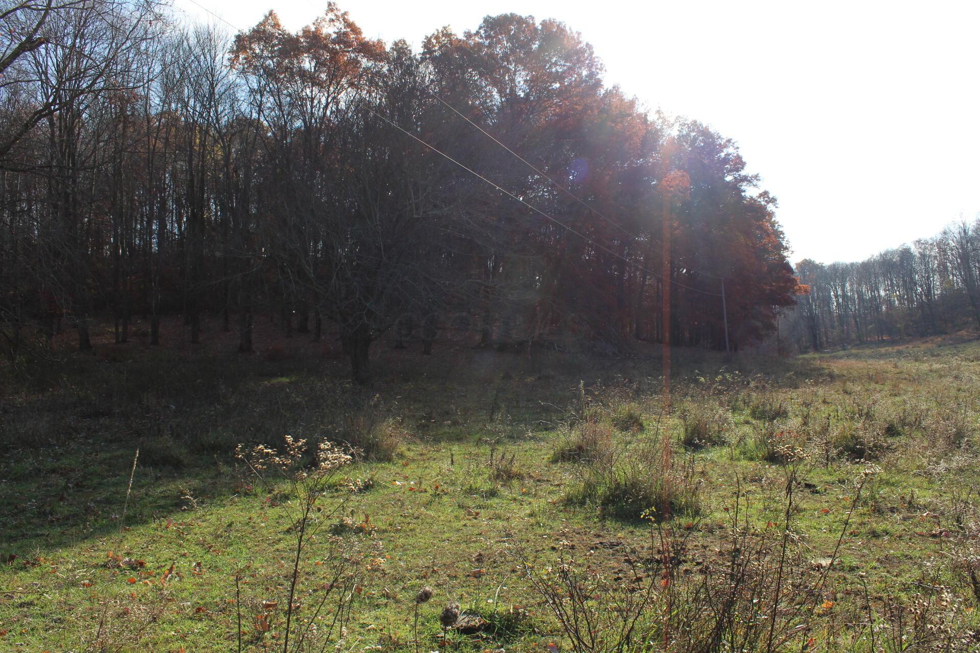 Beal Road #TRACT 4, Newark, Ohio image 49