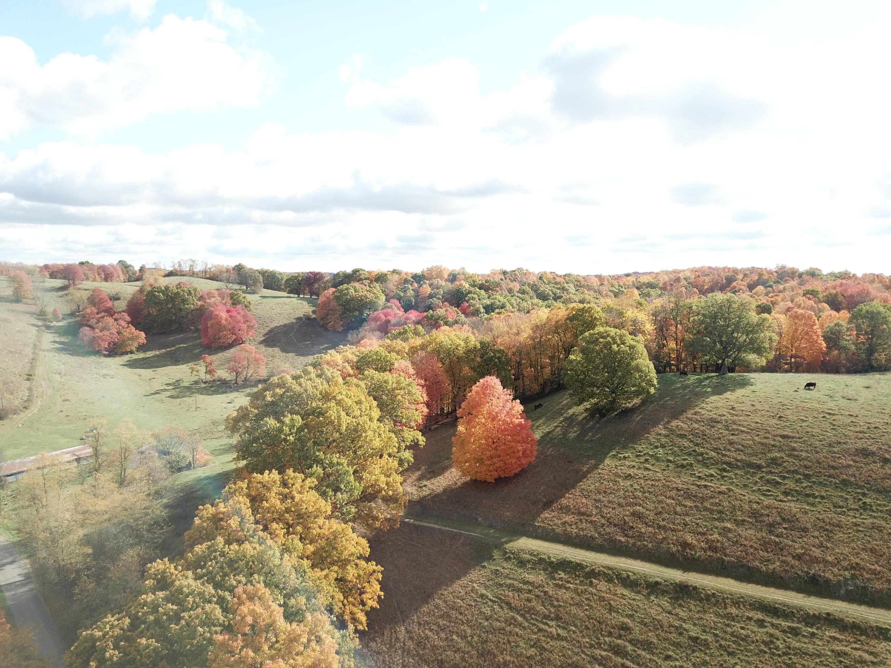 Beal Road #TRACT 4, Newark, Ohio image 32