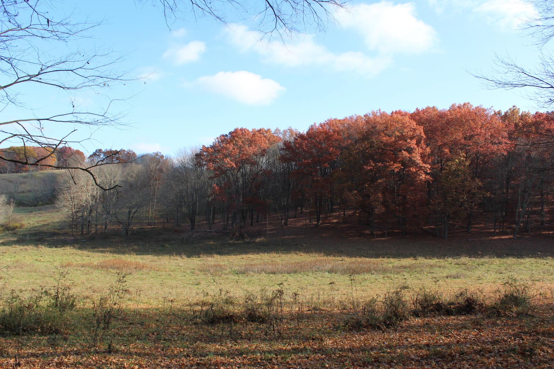 Beal Road #TRACT 4, Newark, Ohio image 43