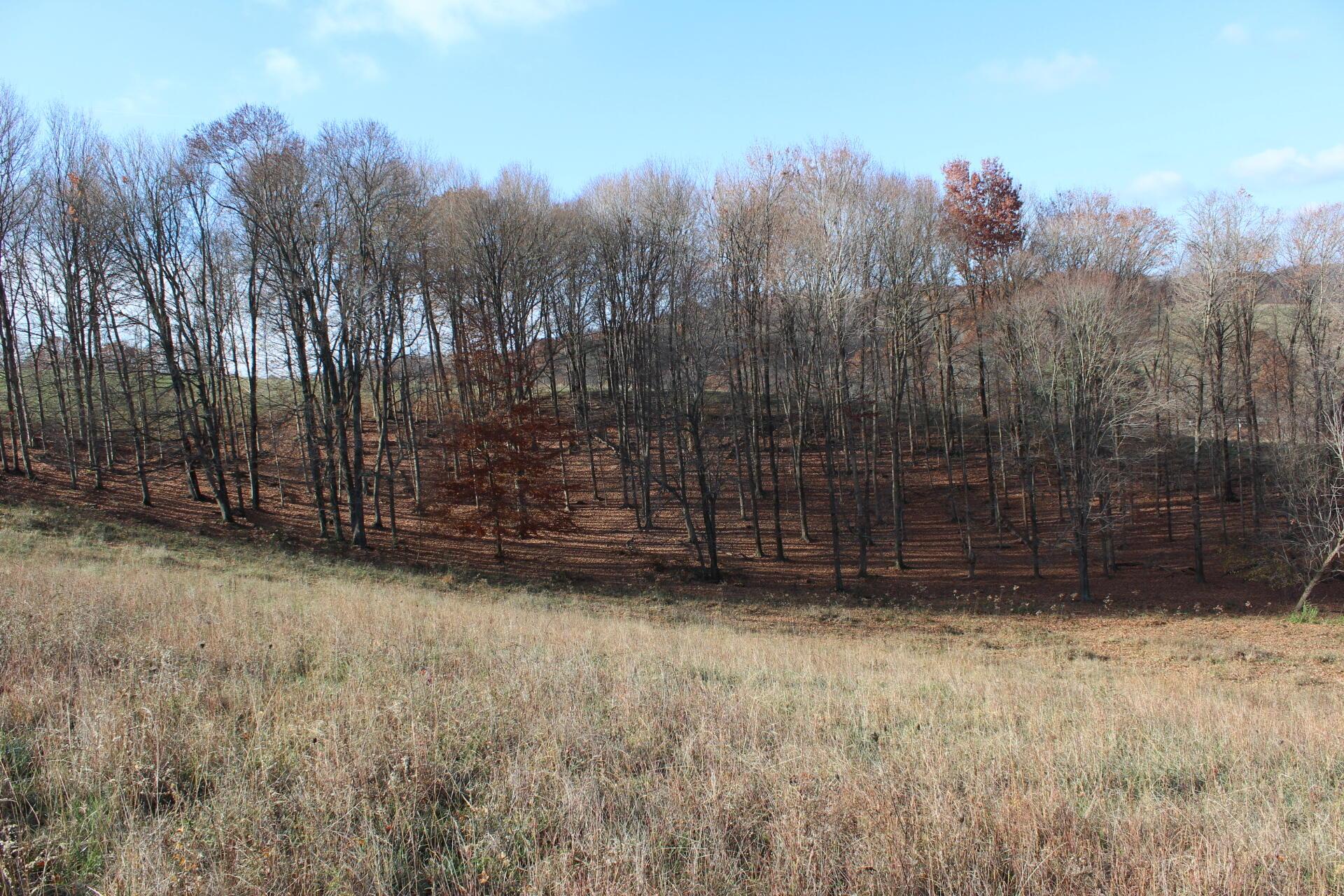 Beal Road #TRACT 4, Newark, Ohio image 33