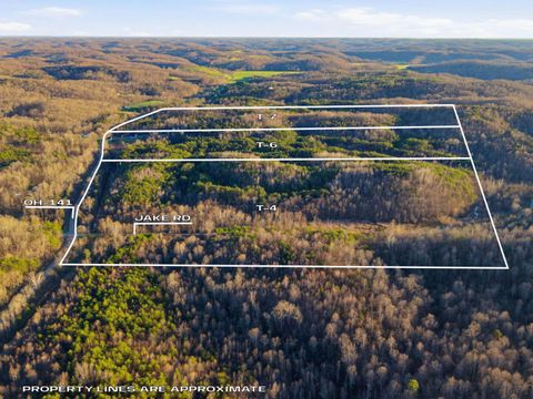 Vacant Land For Sale - State Route 141<br/> Gallia County, Patriot, OH 45658