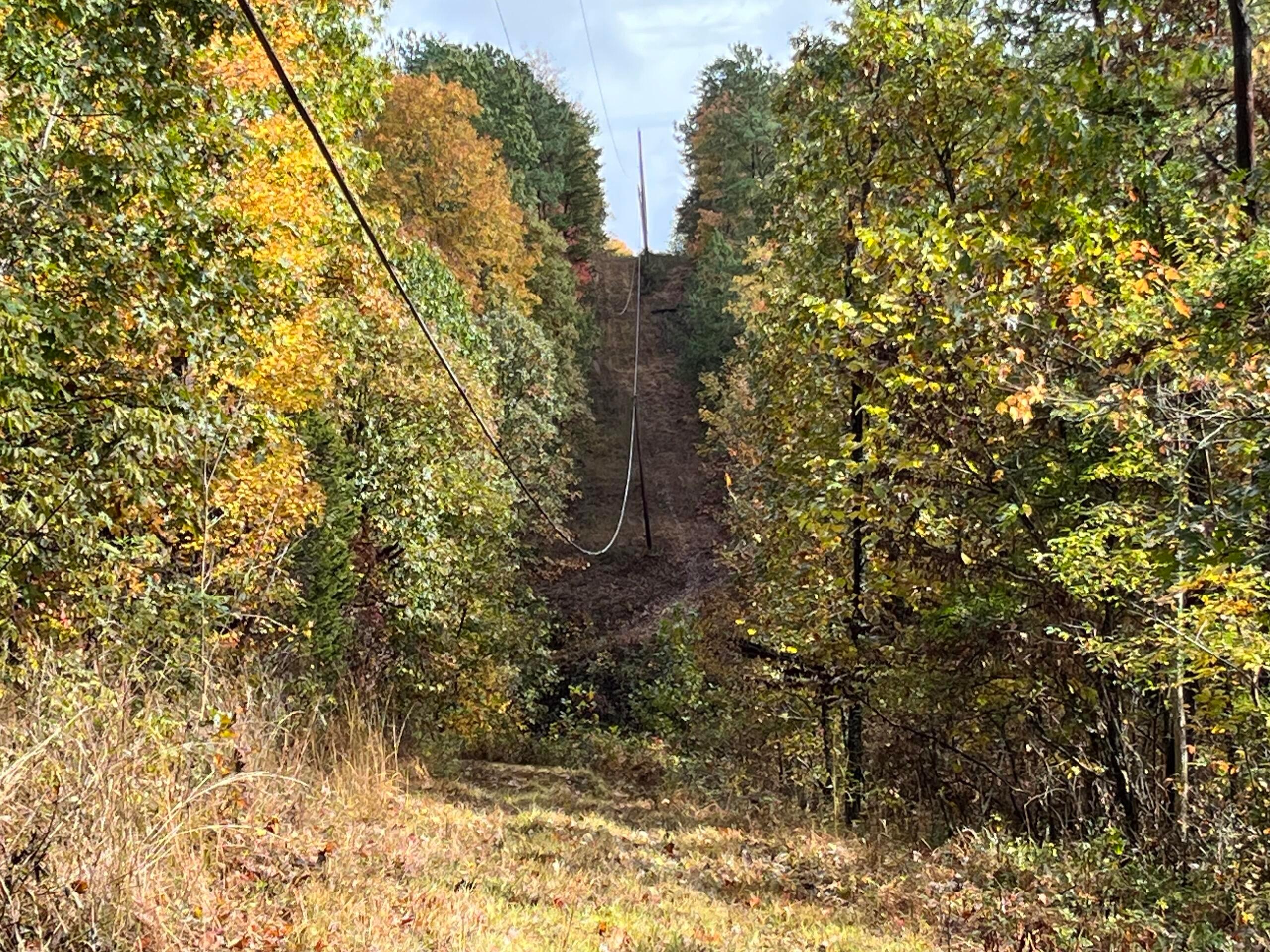 Bigley Ridge Road, Long Bottom, Ohio image 18