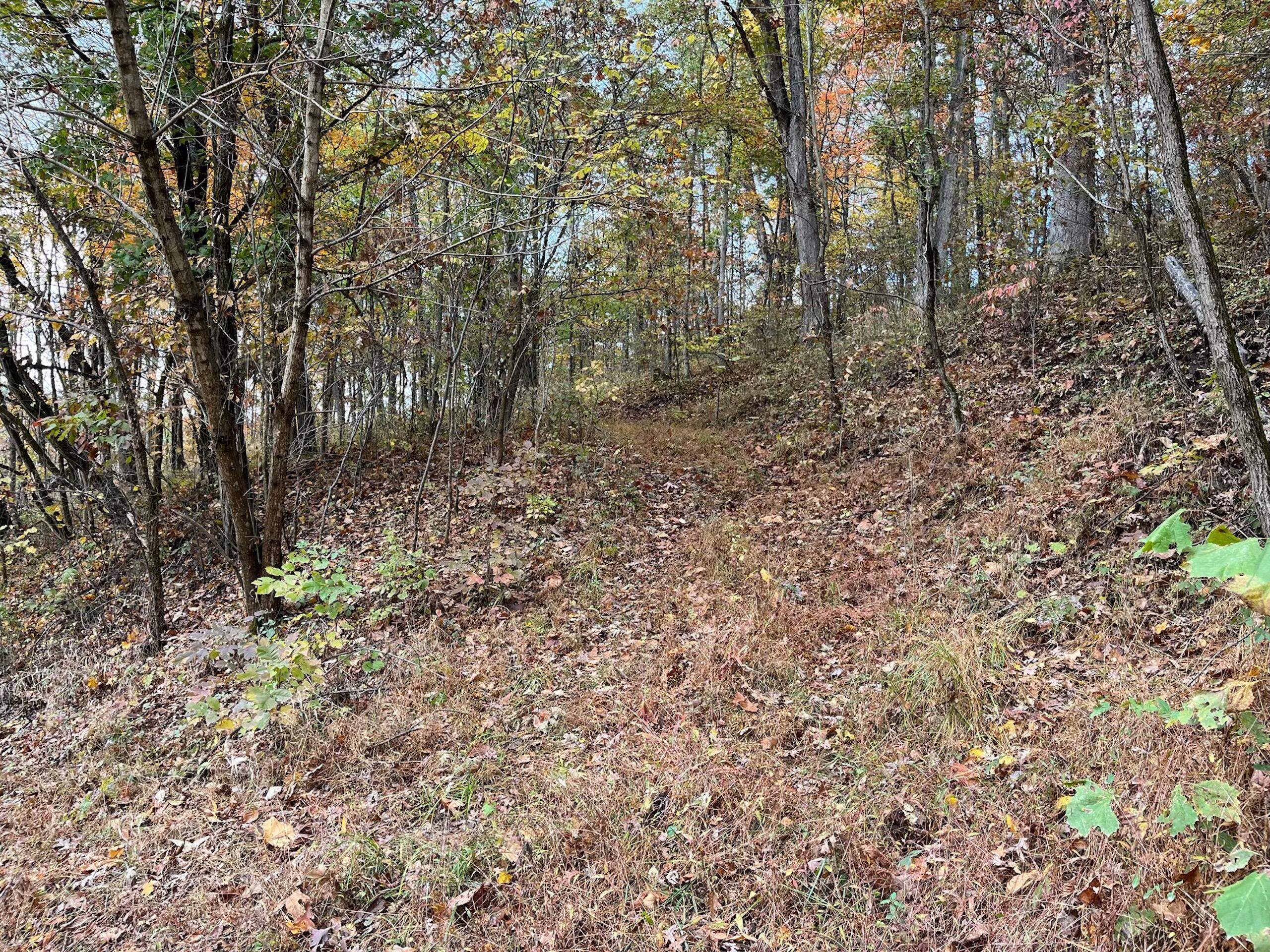 Bigley Ridge Road, Long Bottom, Ohio image 31