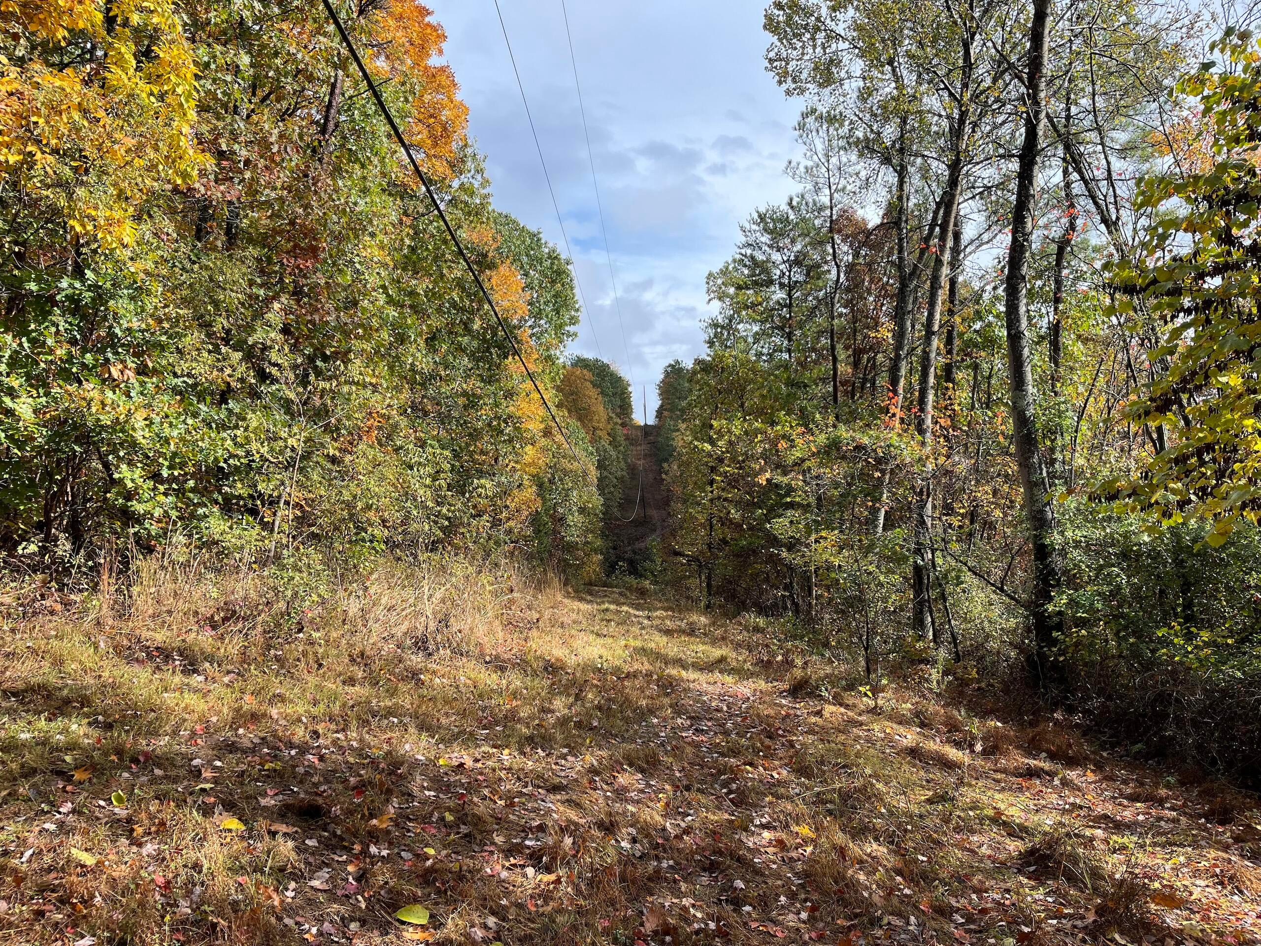 Bigley Ridge Road, Long Bottom, Ohio image 17