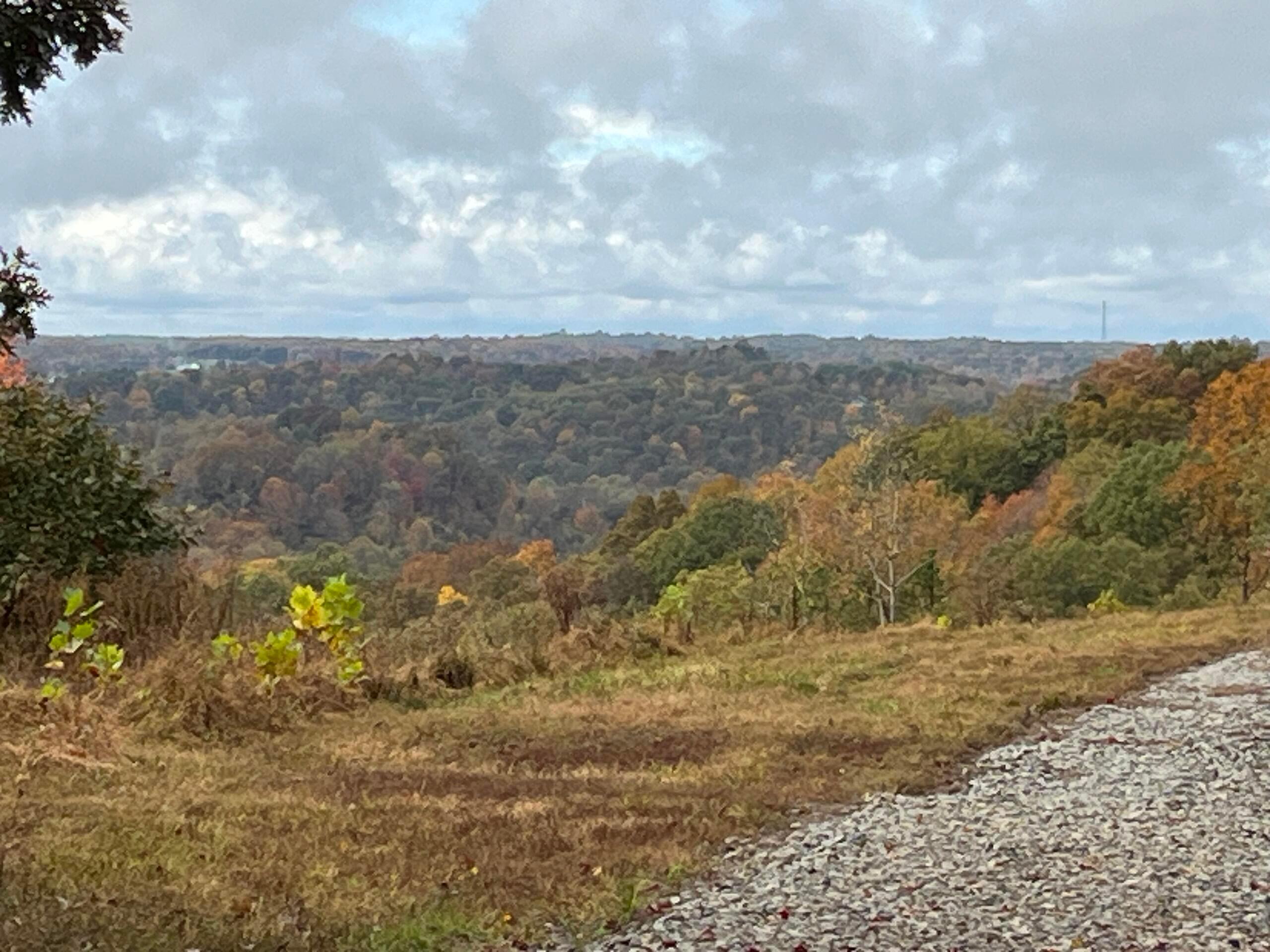 Bigley Ridge Road, Long Bottom, Ohio image 1