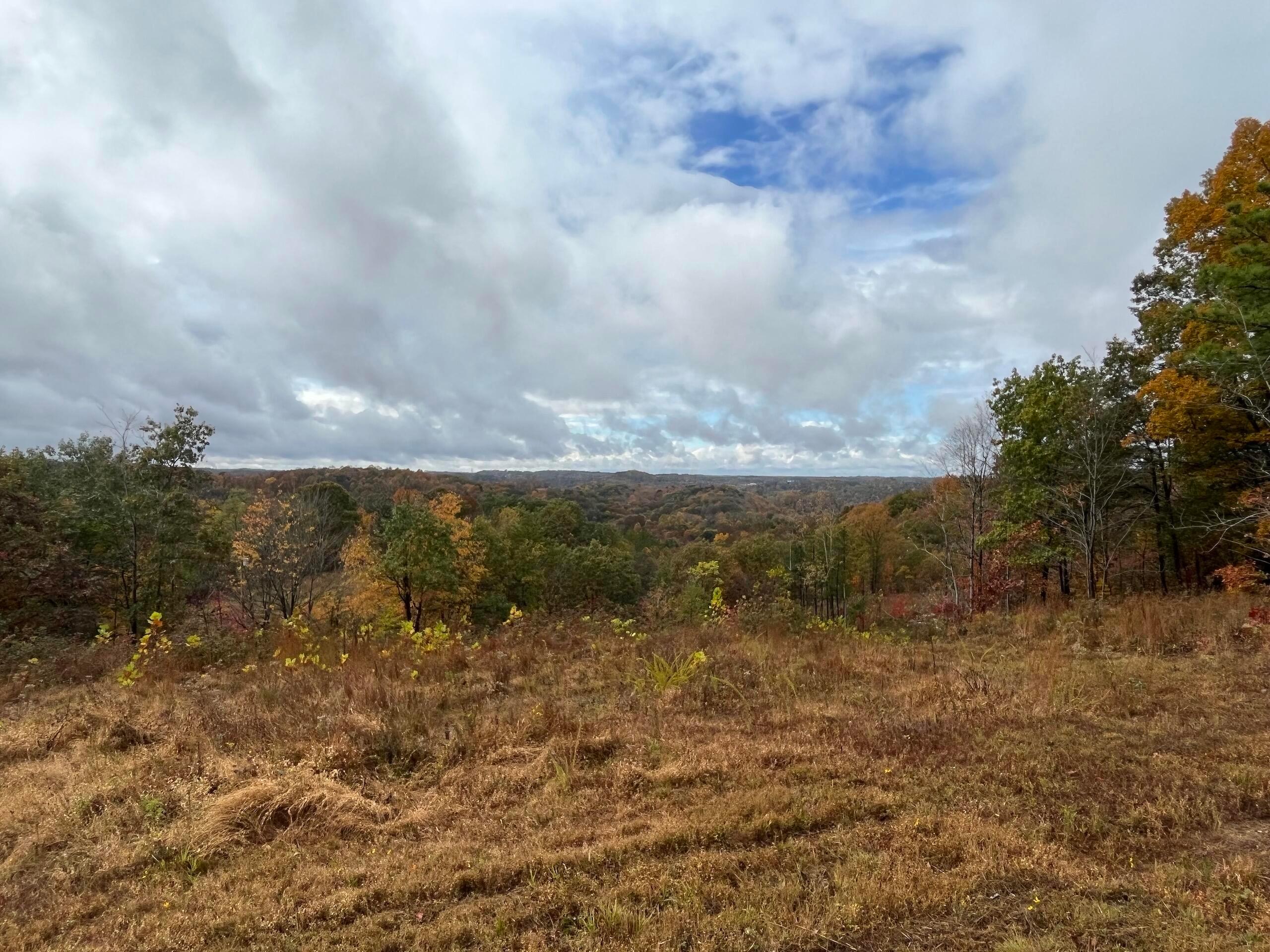 Bigley Ridge Road, Long Bottom, Ohio image 4