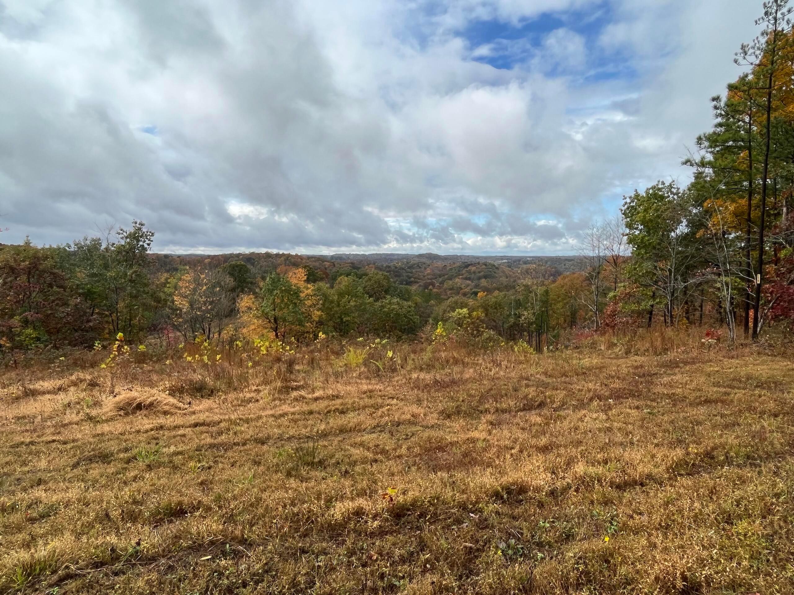 Bigley Ridge Road, Long Bottom, Ohio image 3