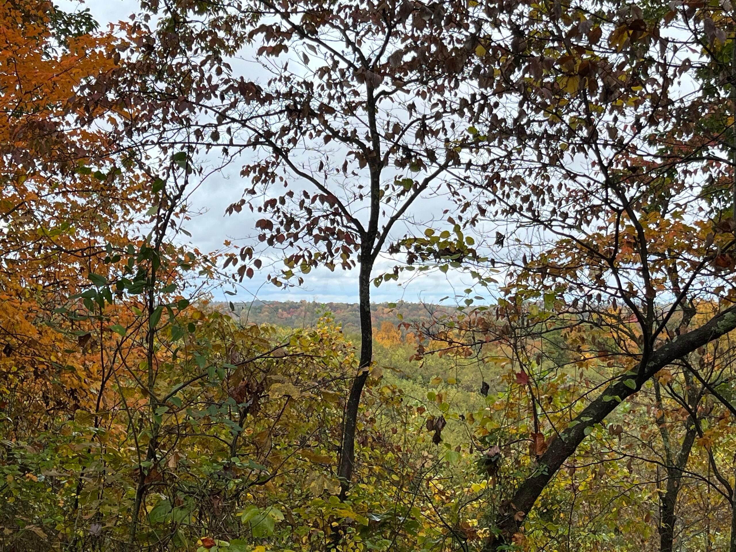 Bigley Ridge Road, Long Bottom, Ohio image 7