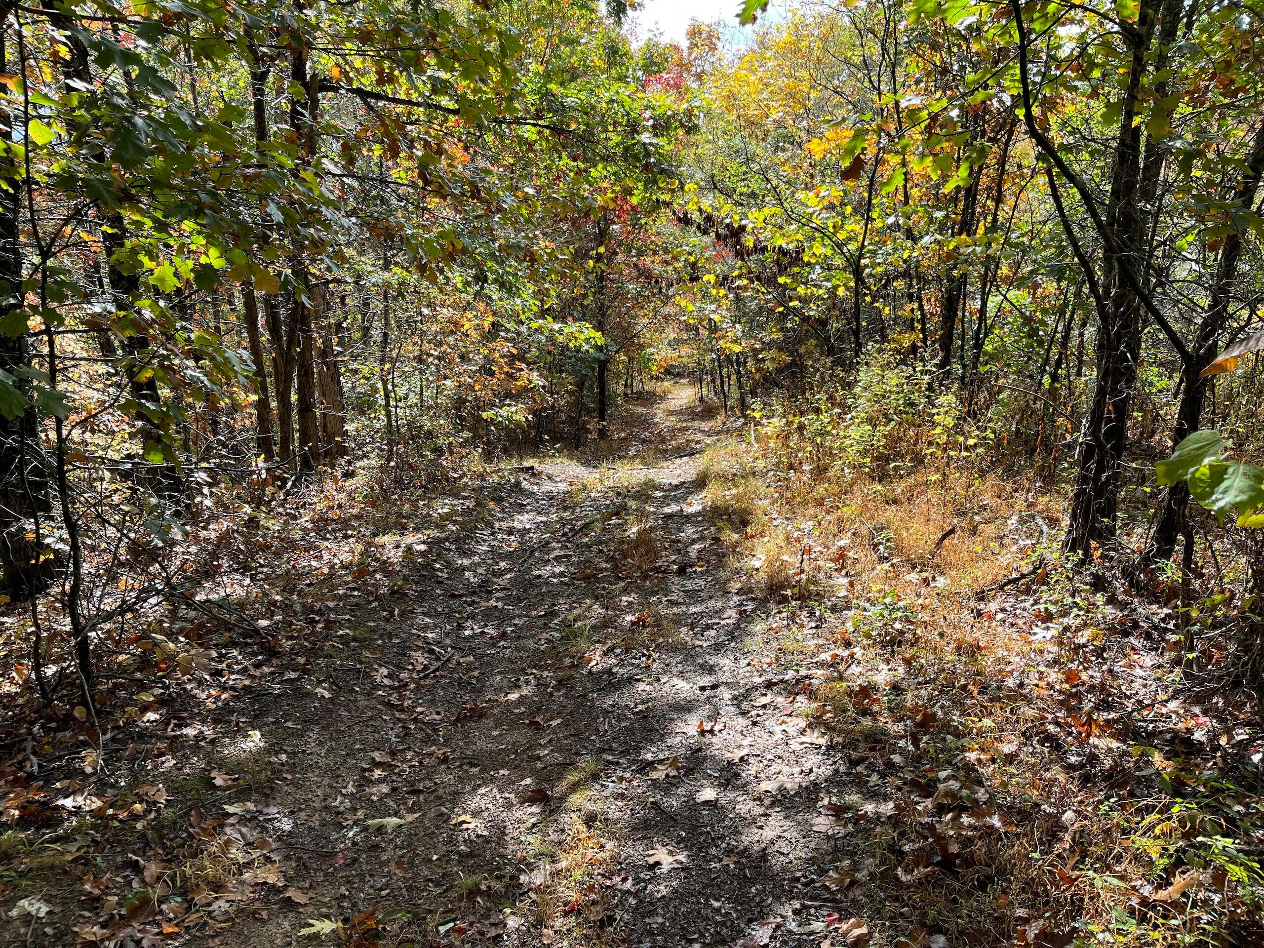 Bigley Ridge Road, Long Bottom, Ohio image 14