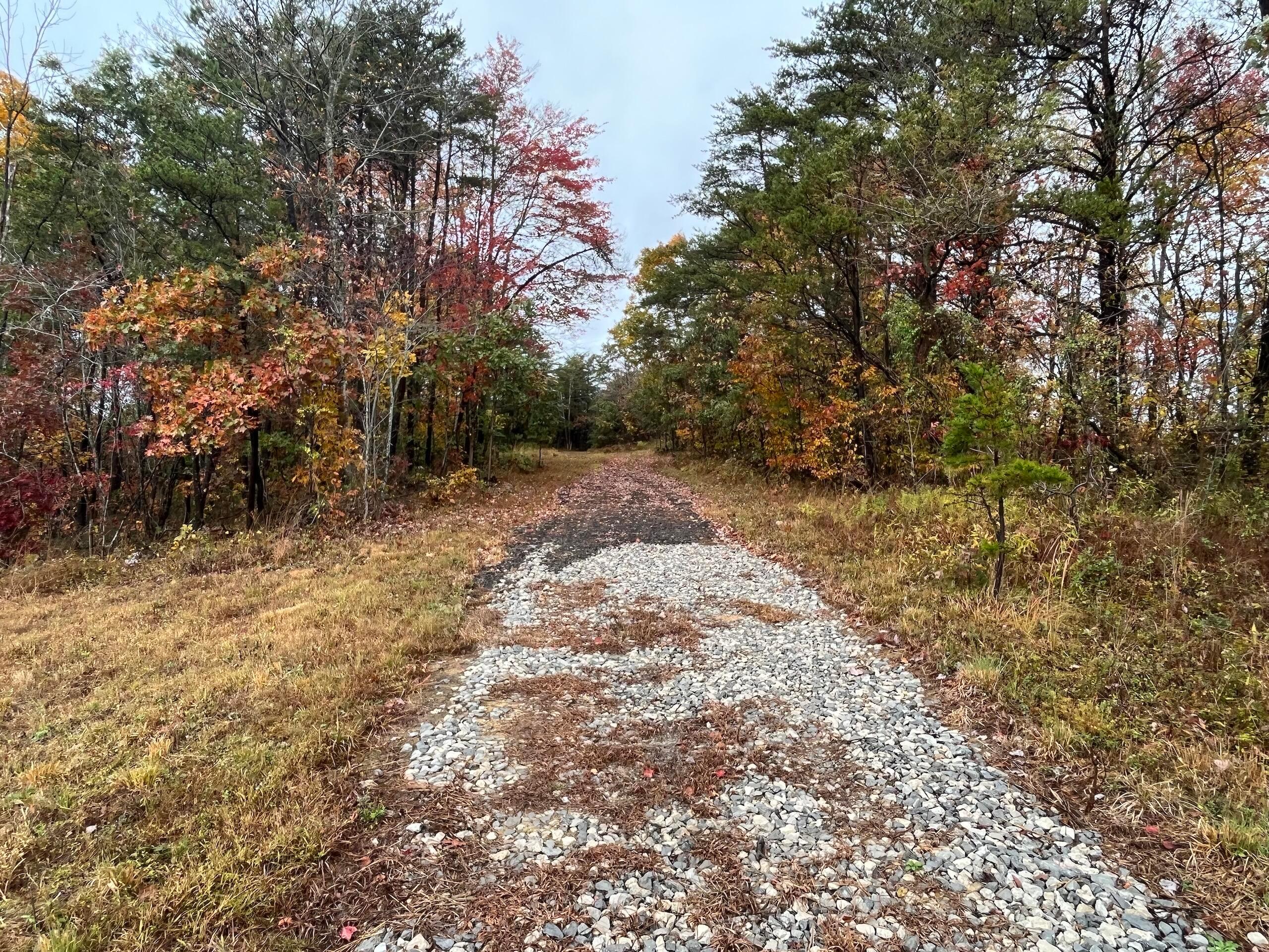 Bigley Ridge Road, Long Bottom, Ohio image 5