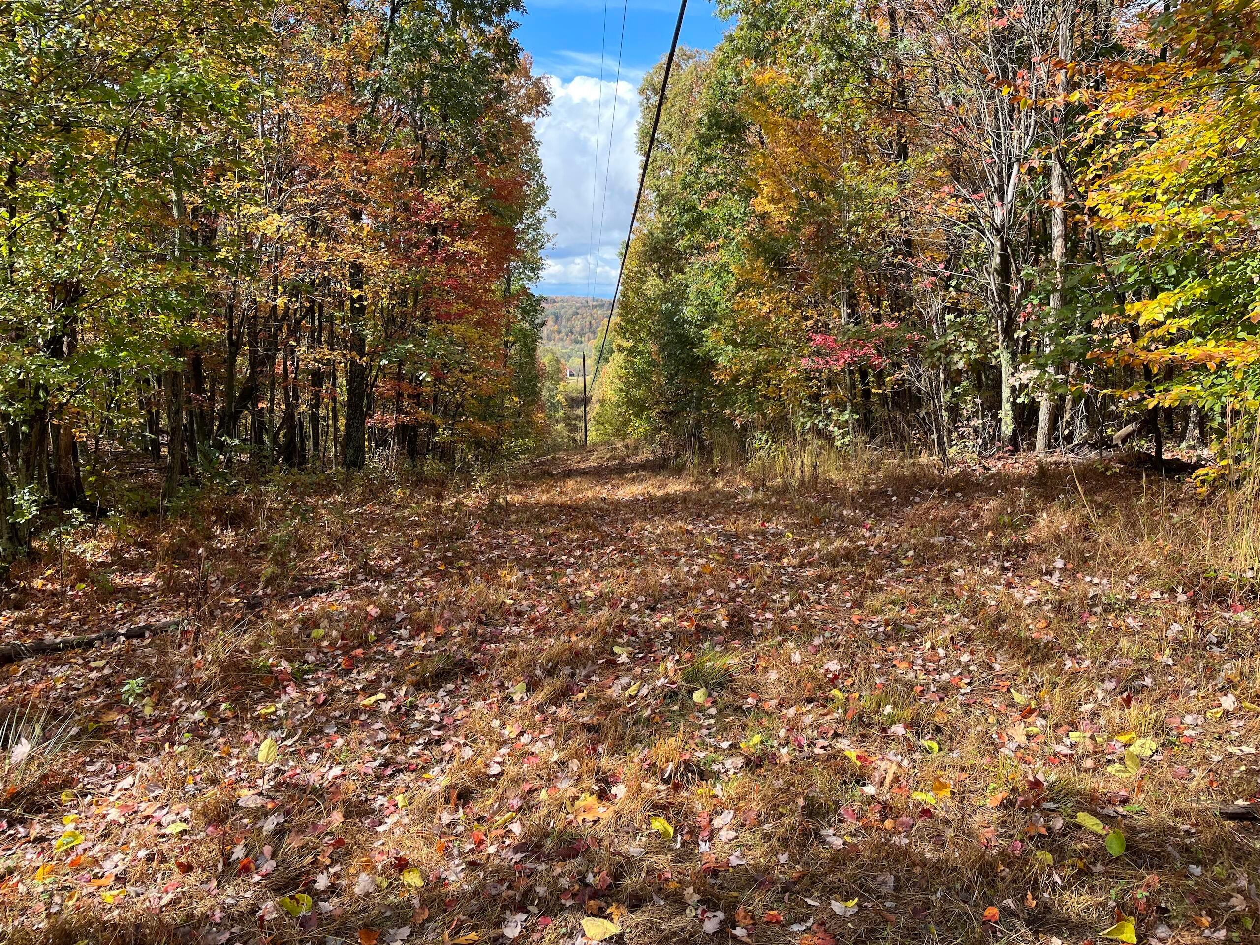 Bigley Ridge Road, Long Bottom, Ohio image 16