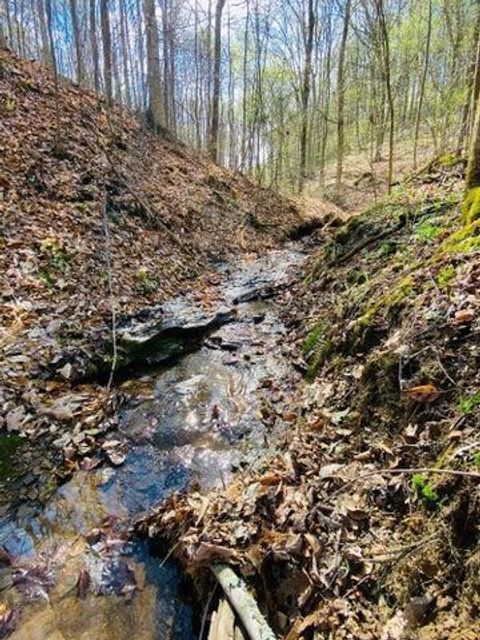 Photo of 23584 Conrad Road, South Bloomingville, OH 43152 (MLS # 226002111)