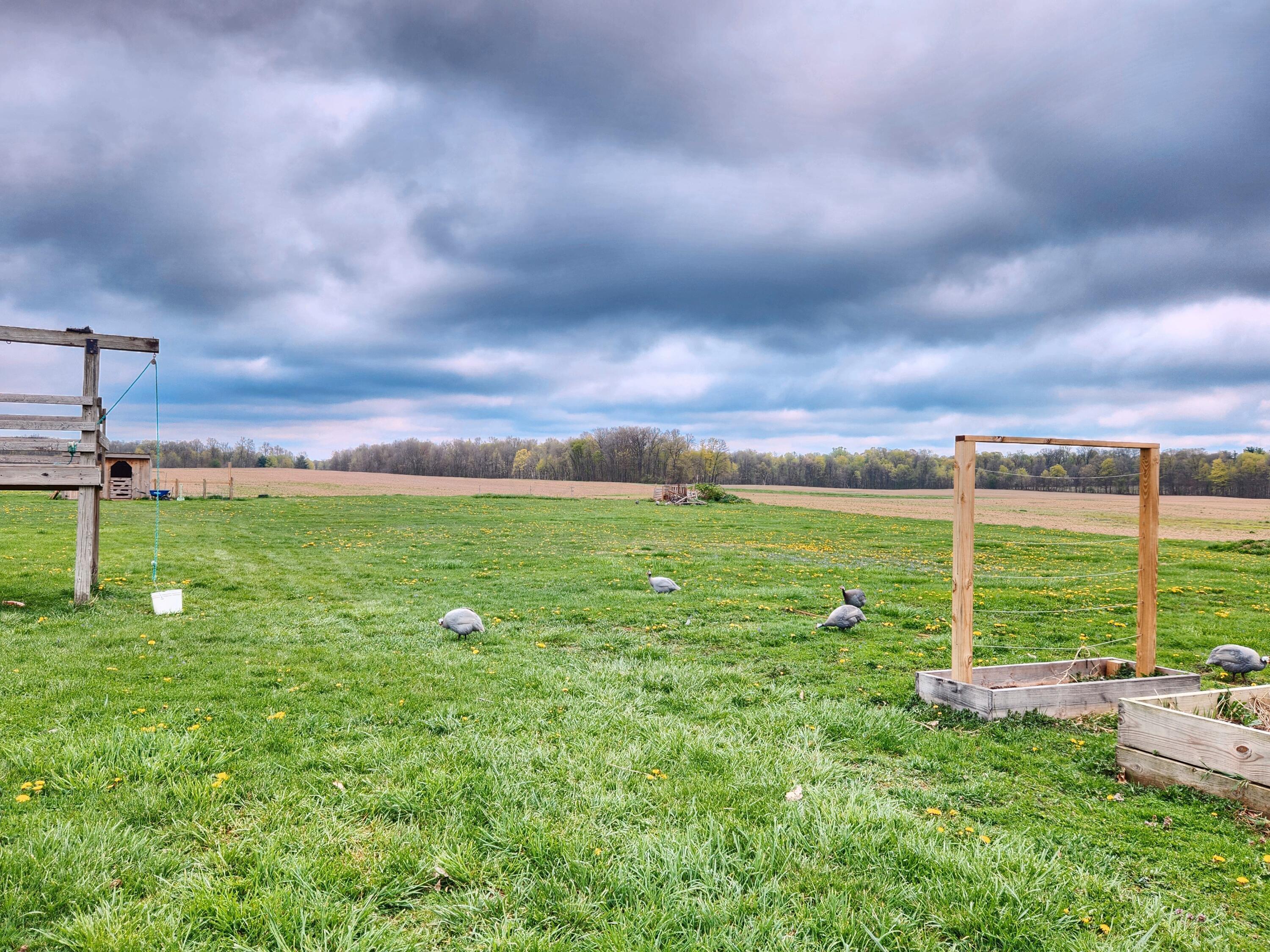 7559 Township Road 87, Bellville, Ohio image 24