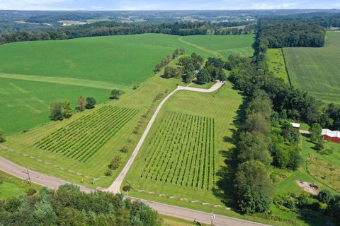 Tiny photo for 26367 Danville Amity Road, Danville, OH 43014 (MLS # 226001763)