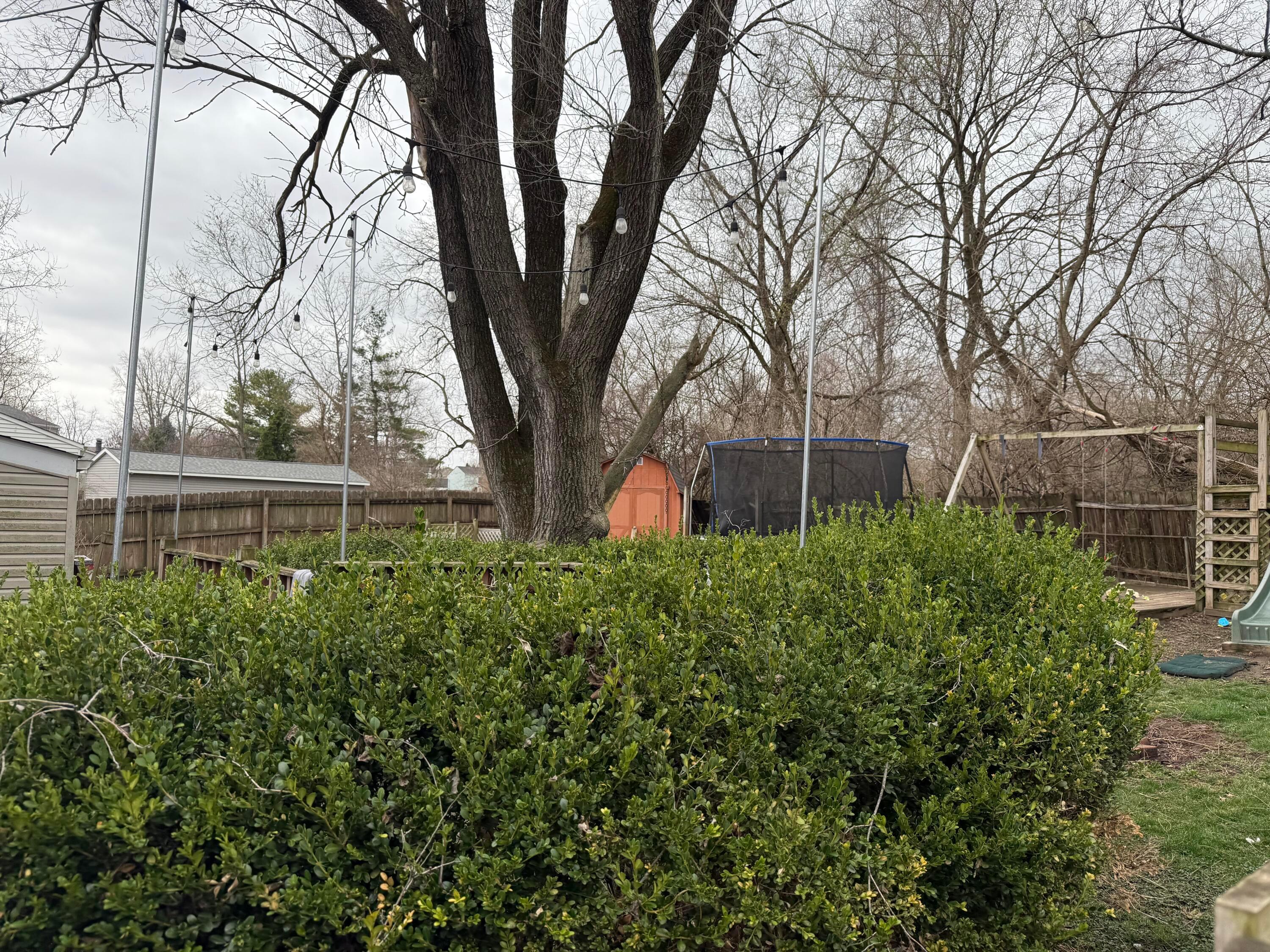2117 Drumlin Drive, Grove City, Ohio image 4