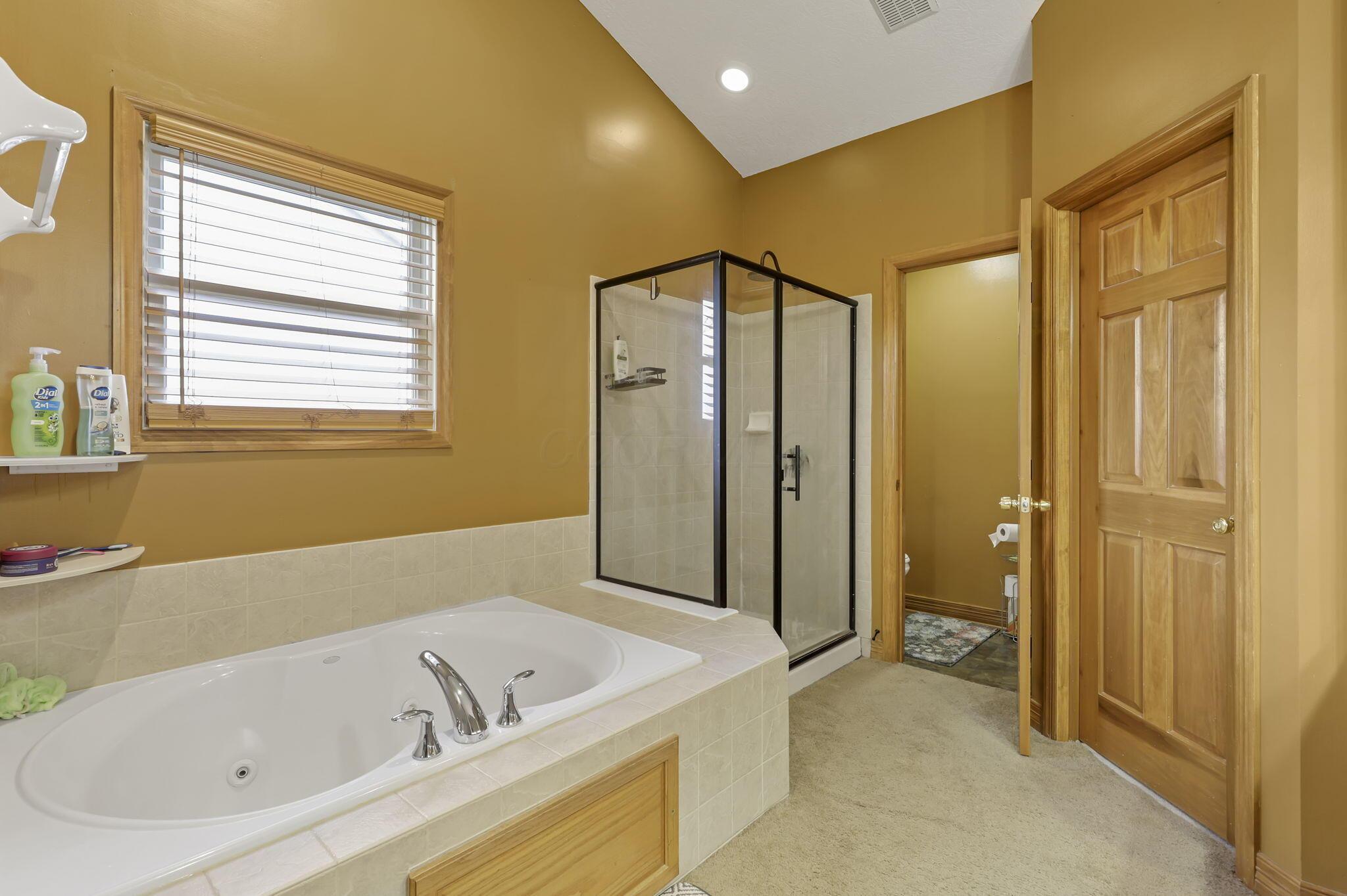 318 Linden Circle, Pickerington, Ohio image 39