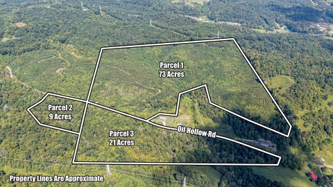 Photo of 0 Oil Hollow Road, Gallipolis, OH 45631 (MLS # 226039667)
