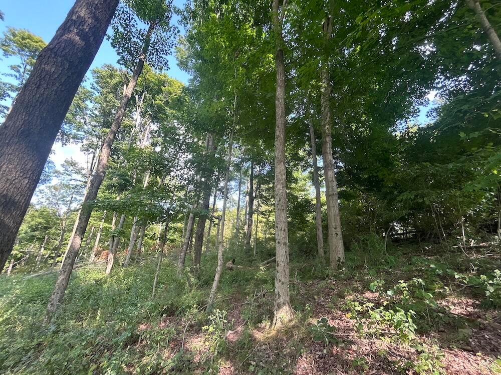 Gilchrist Road, Mount Vernon, Ohio image 5