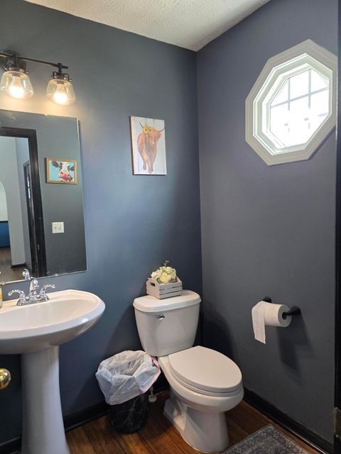 Tiny photo for 246 Weeping Willow Run Drive, Johnstown, OH 43031 (MLS # 226020961)