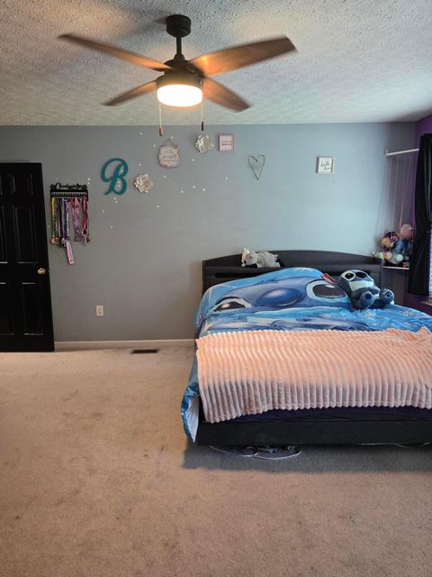 Tiny photo for 246 Weeping Willow Run Drive, Johnstown, OH 43031 (MLS # 226020961)