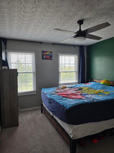 Tiny photo for 246 Weeping Willow Run Drive, Johnstown, OH 43031 (MLS # 226020961)