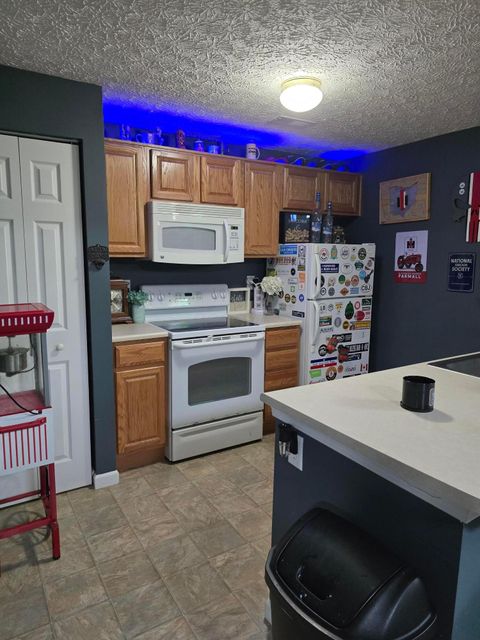 Tiny photo for 246 Weeping Willow Run Drive, Johnstown, OH 43031 (MLS # 226020961)