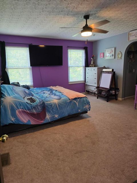 Tiny photo for 246 Weeping Willow Run Drive, Johnstown, OH 43031 (MLS # 226020961)