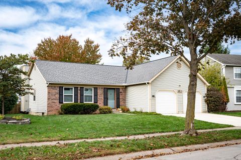 6833 Spruce Pine Drive Columbus OH 43235