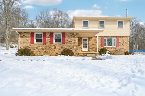 Photo of 10410 Pleasant Valley Road NE, Frazeysburg, OH 43822 (MLS # 226003934)