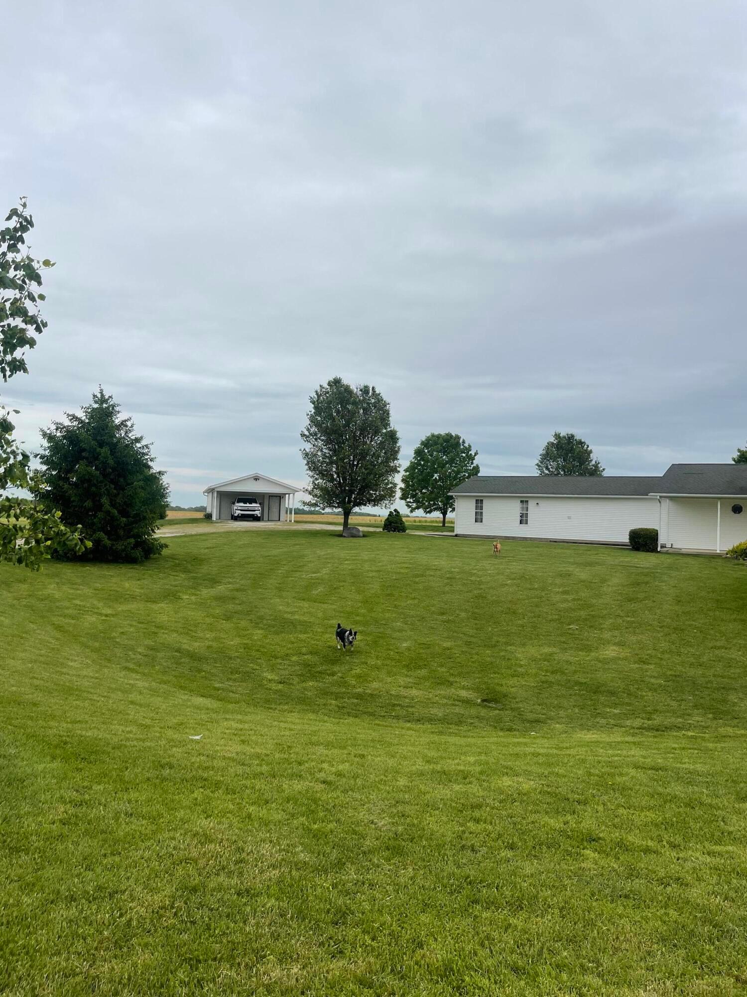 1052 Beehive Grove, Grove City, Ohio image 6