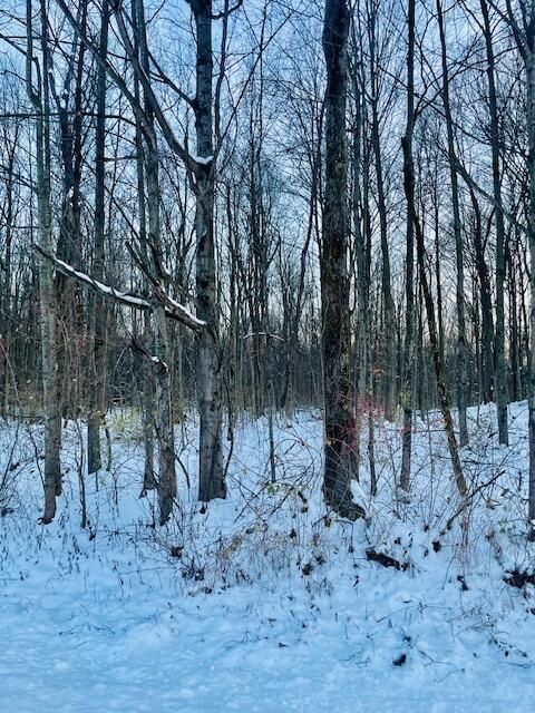 Photo of 0 Township Road 14, Mount Gilead, OH 43338 (MLS # 225044811)