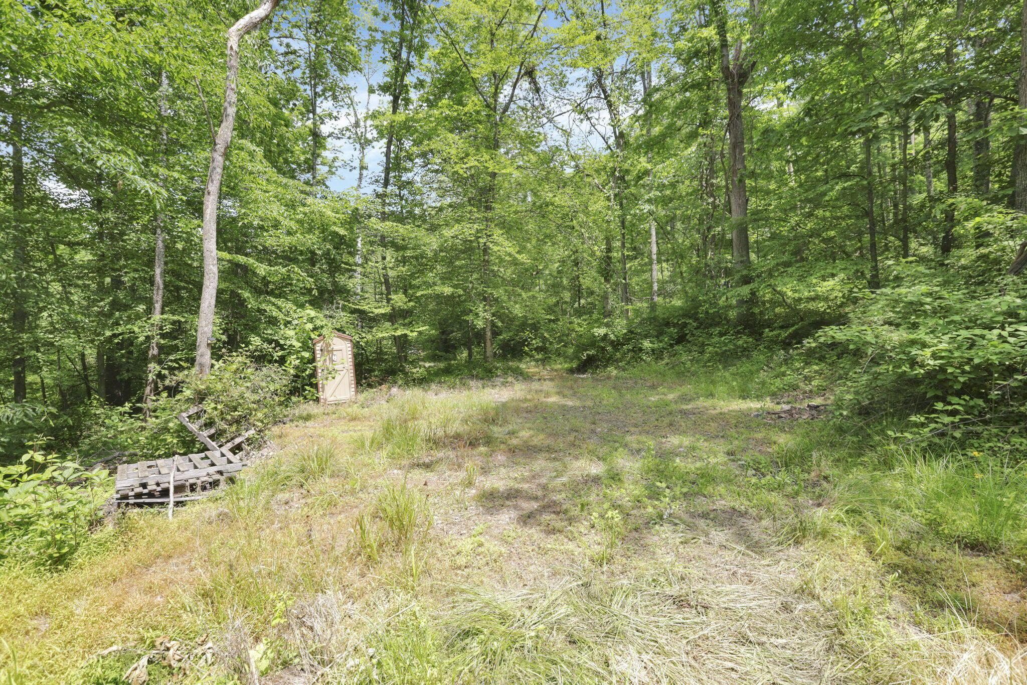 Sugargrove Road, Chandlersville, Ohio image 12