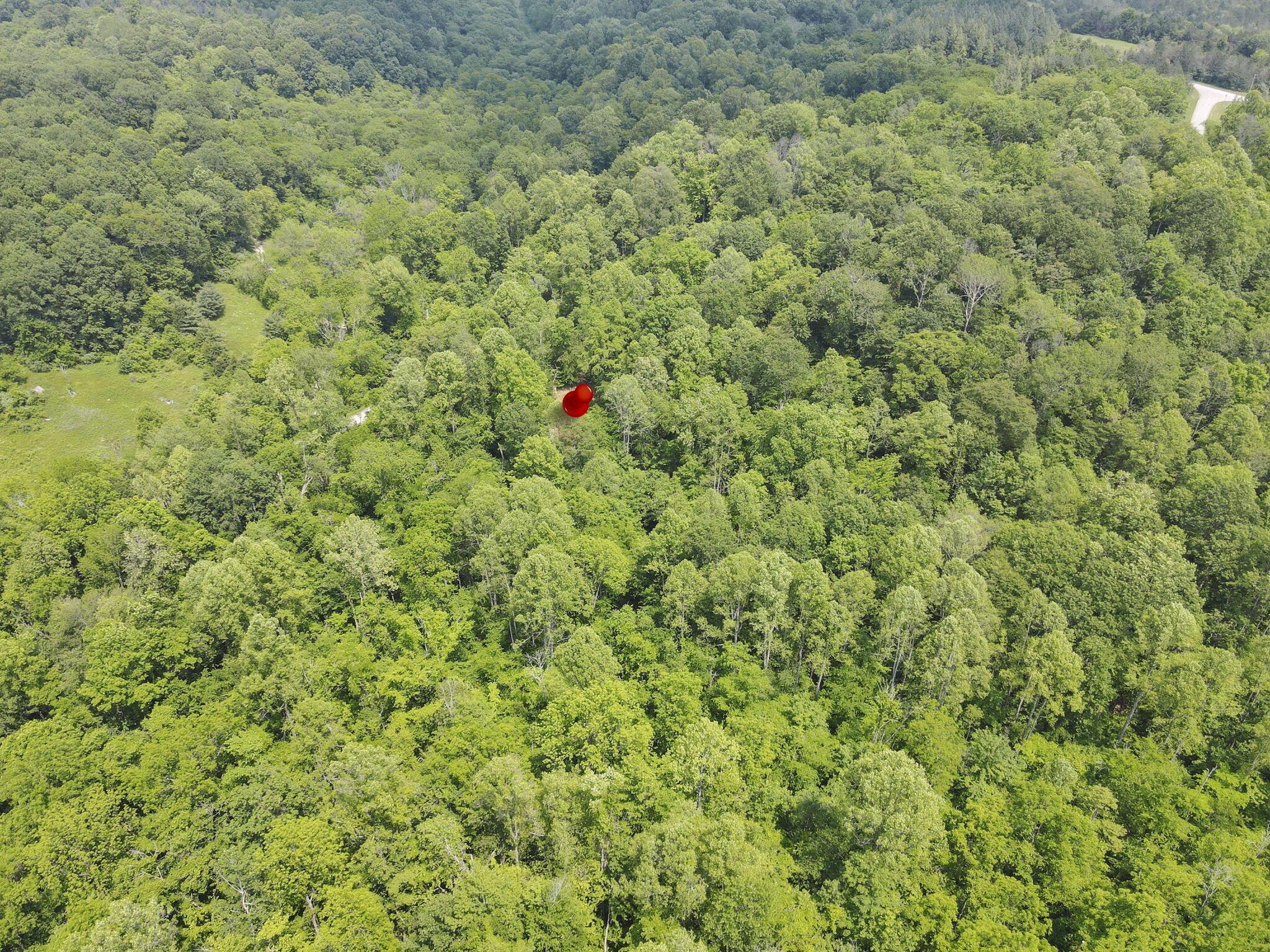Sugargrove Road, Chandlersville, Ohio image 22