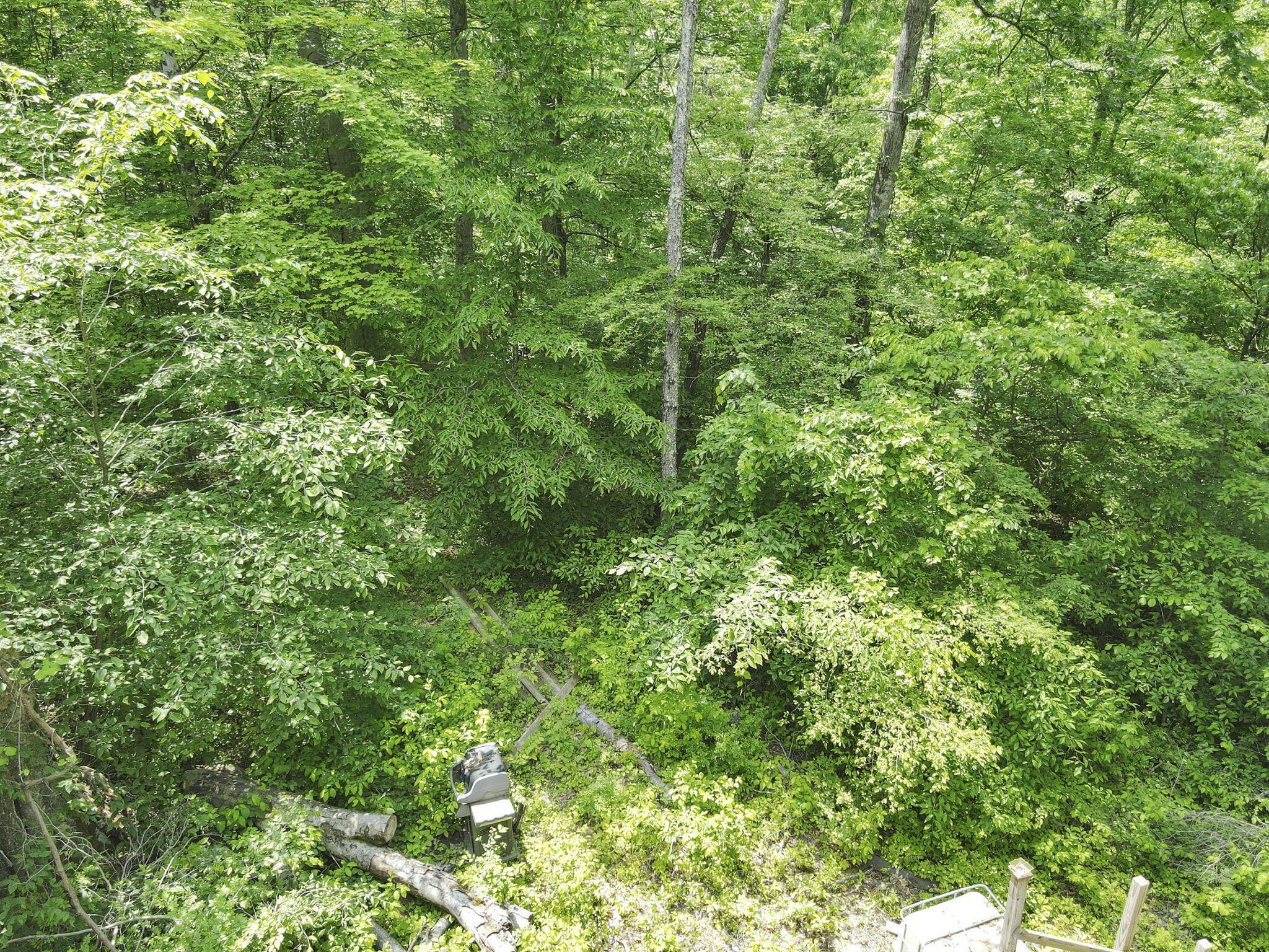 Sugargrove Road, Chandlersville, Ohio image 8