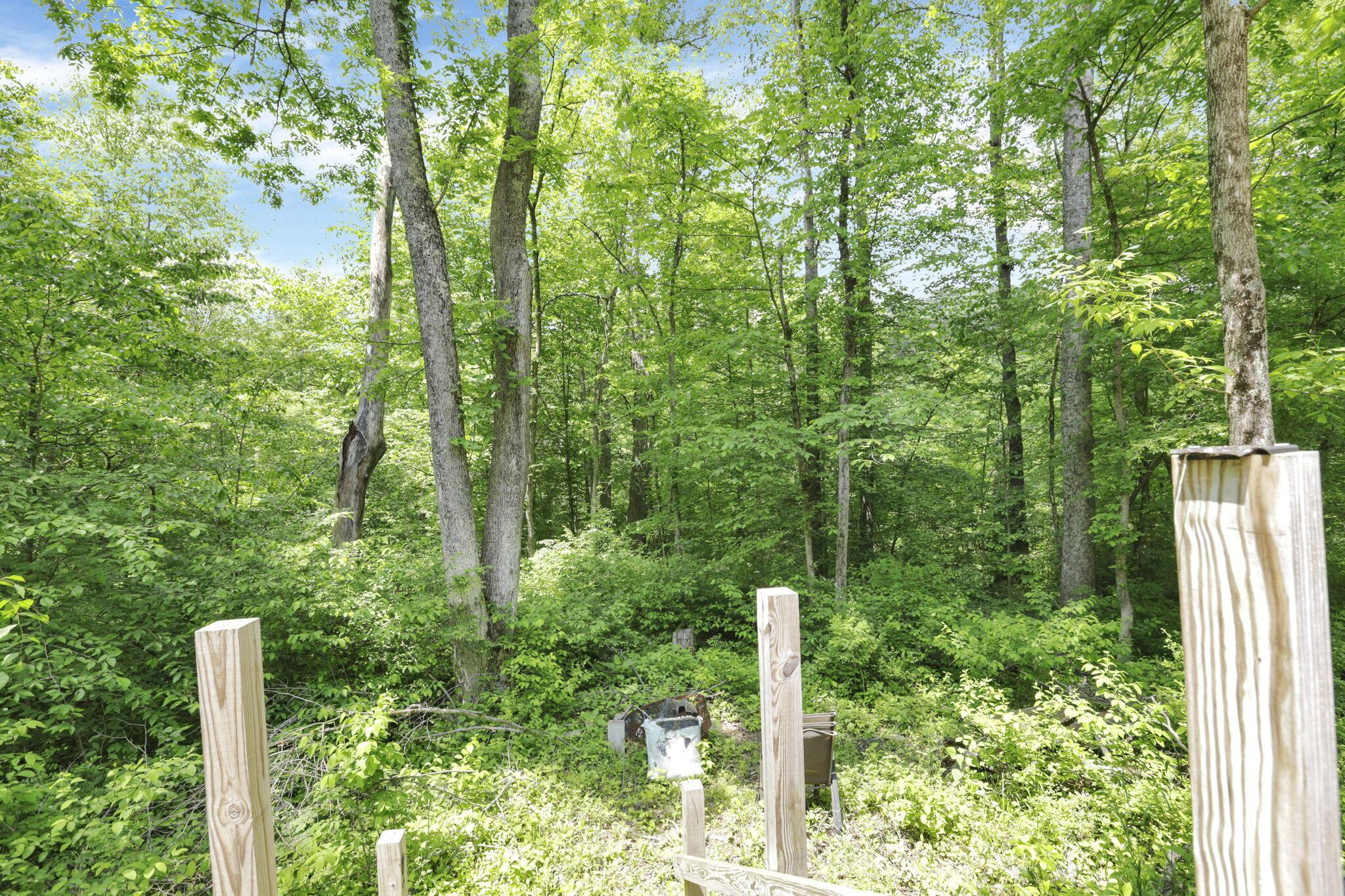 Sugargrove Road, Chandlersville, Ohio image 13
