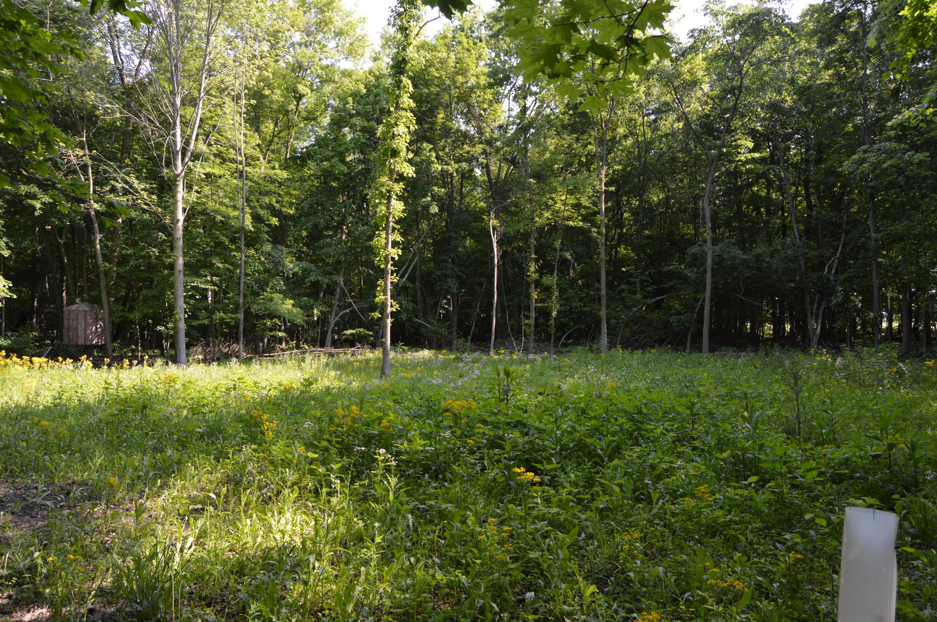 6497 County Highway 87, Wharton, Ohio image 25