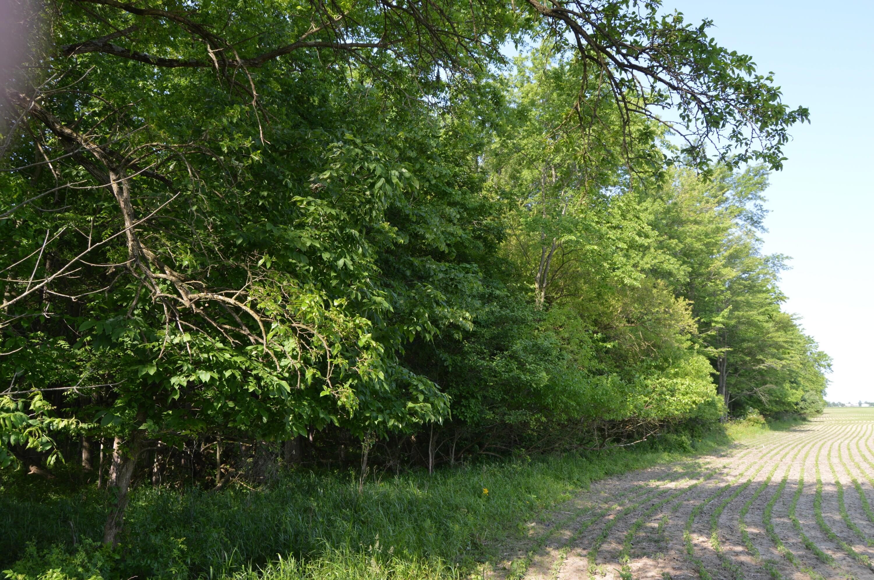 6497 County Highway 87, Wharton, Ohio image 50