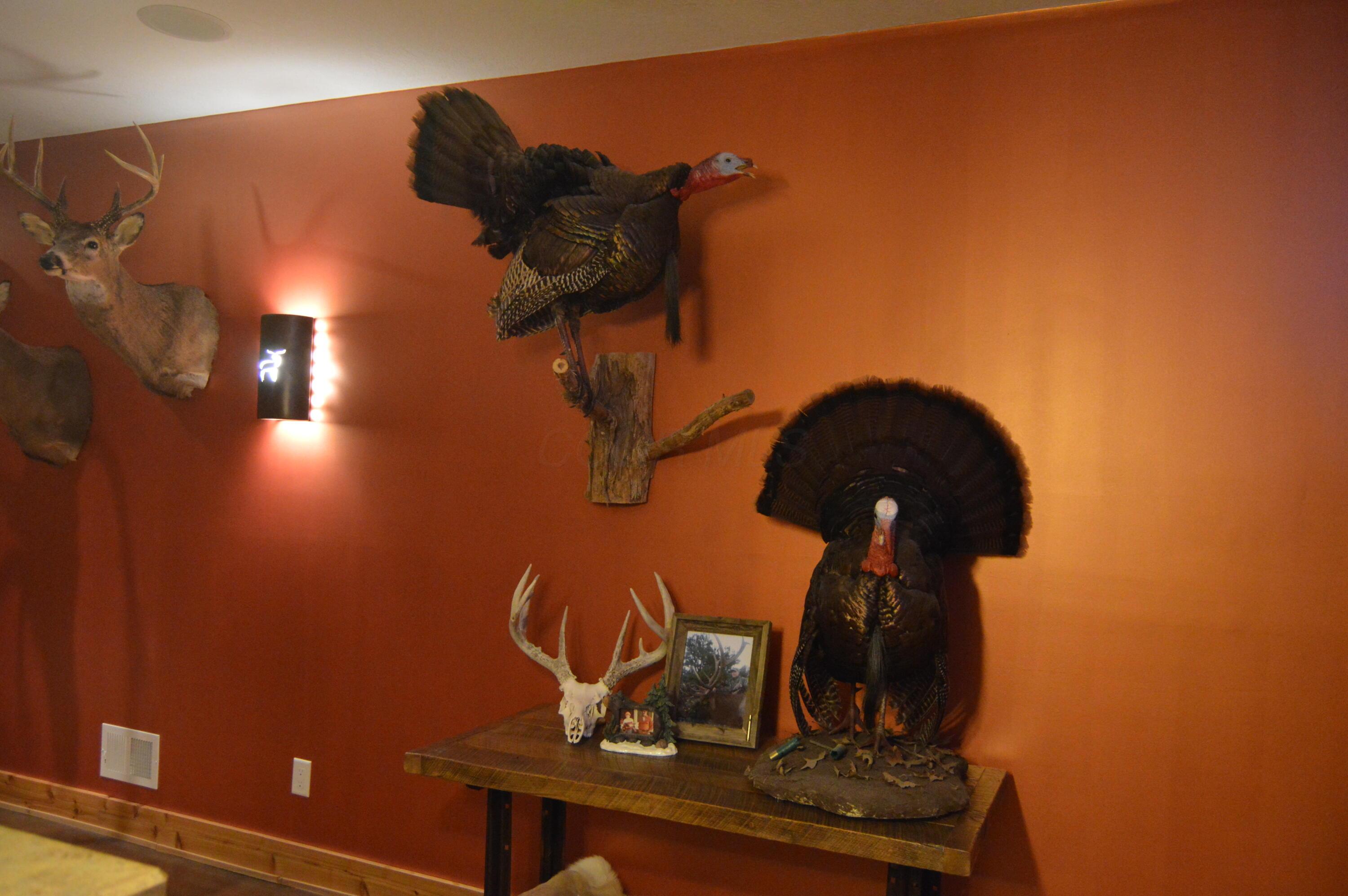 6497 County Highway 87, Wharton, Ohio image 19