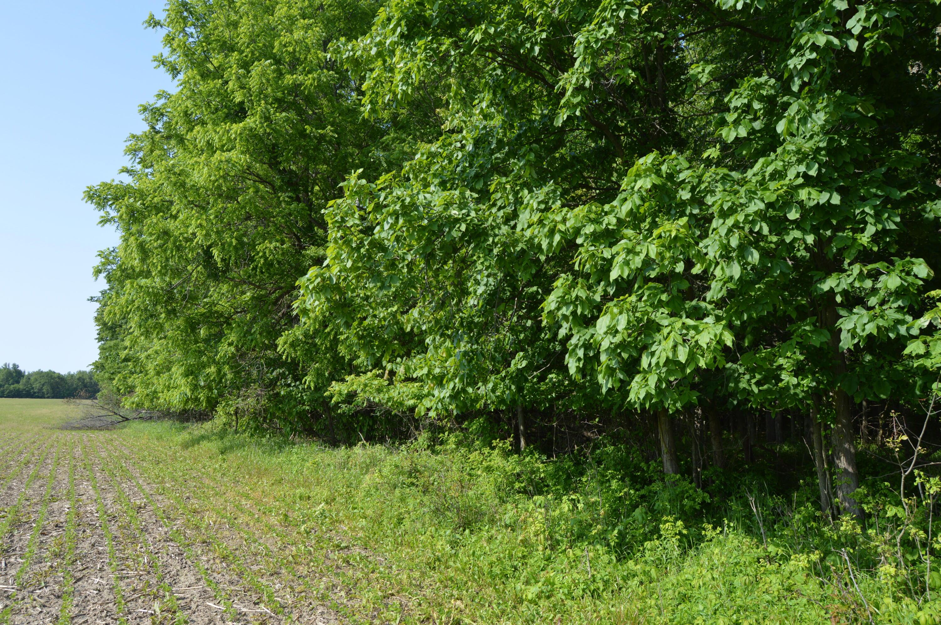 6497 County Highway 87, Wharton, Ohio image 23