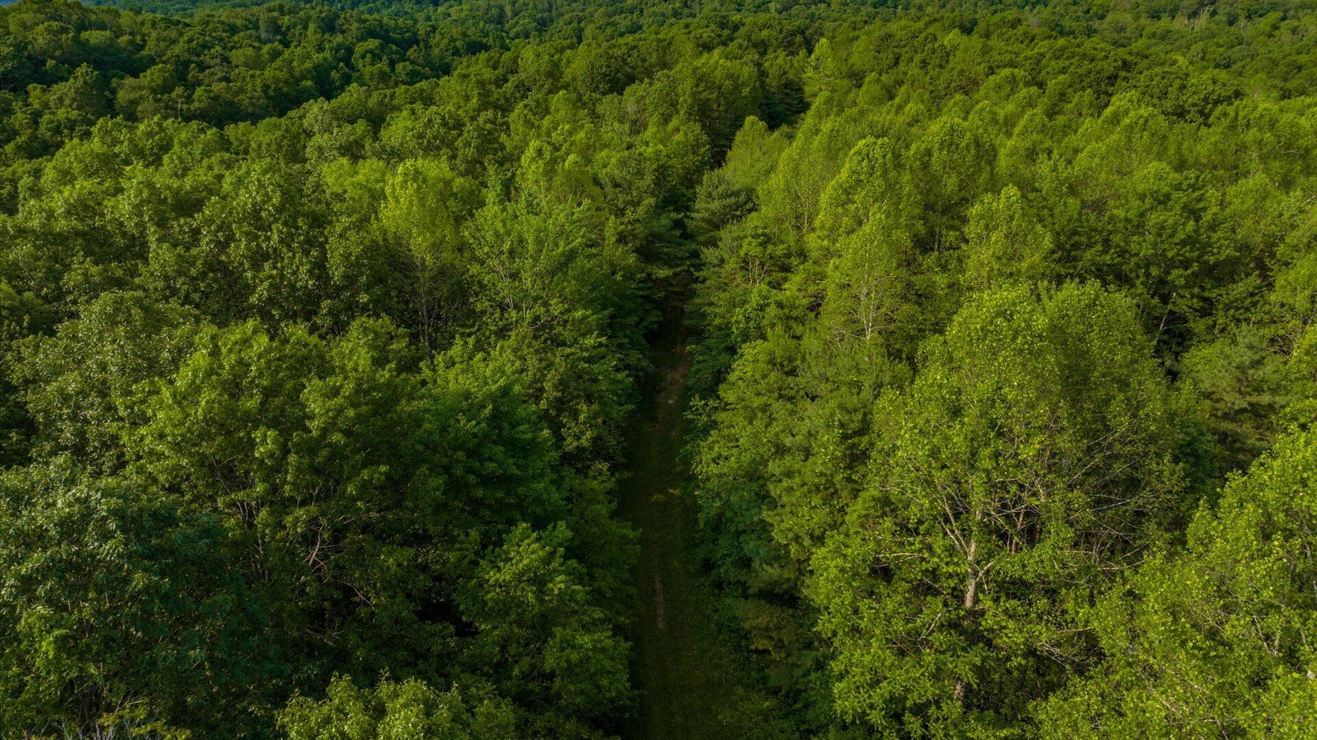 Township Road 318, Corning, Ohio image 22