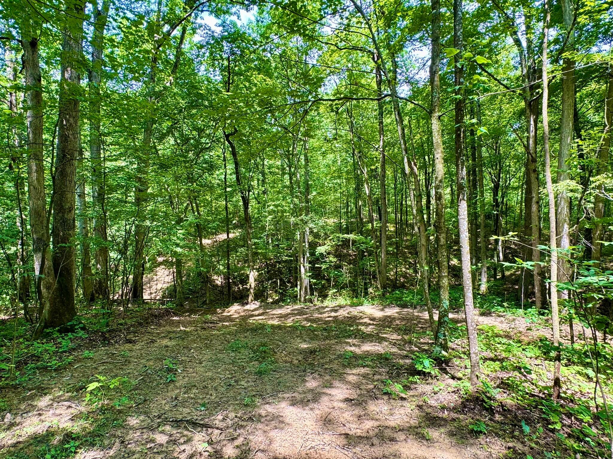 Township Road 318, Corning, Ohio image 6