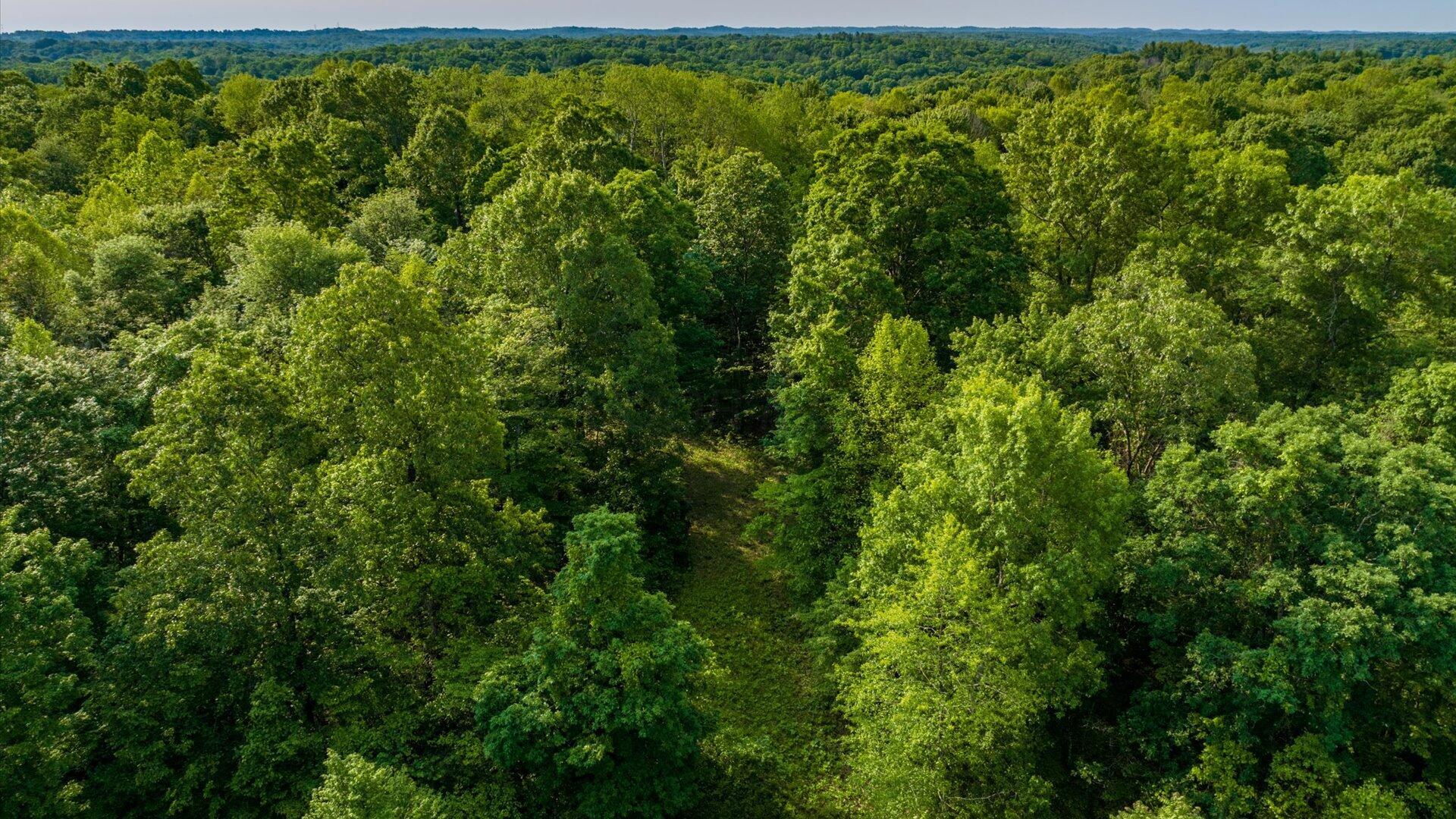 Township Road 318, Corning, Ohio image 31