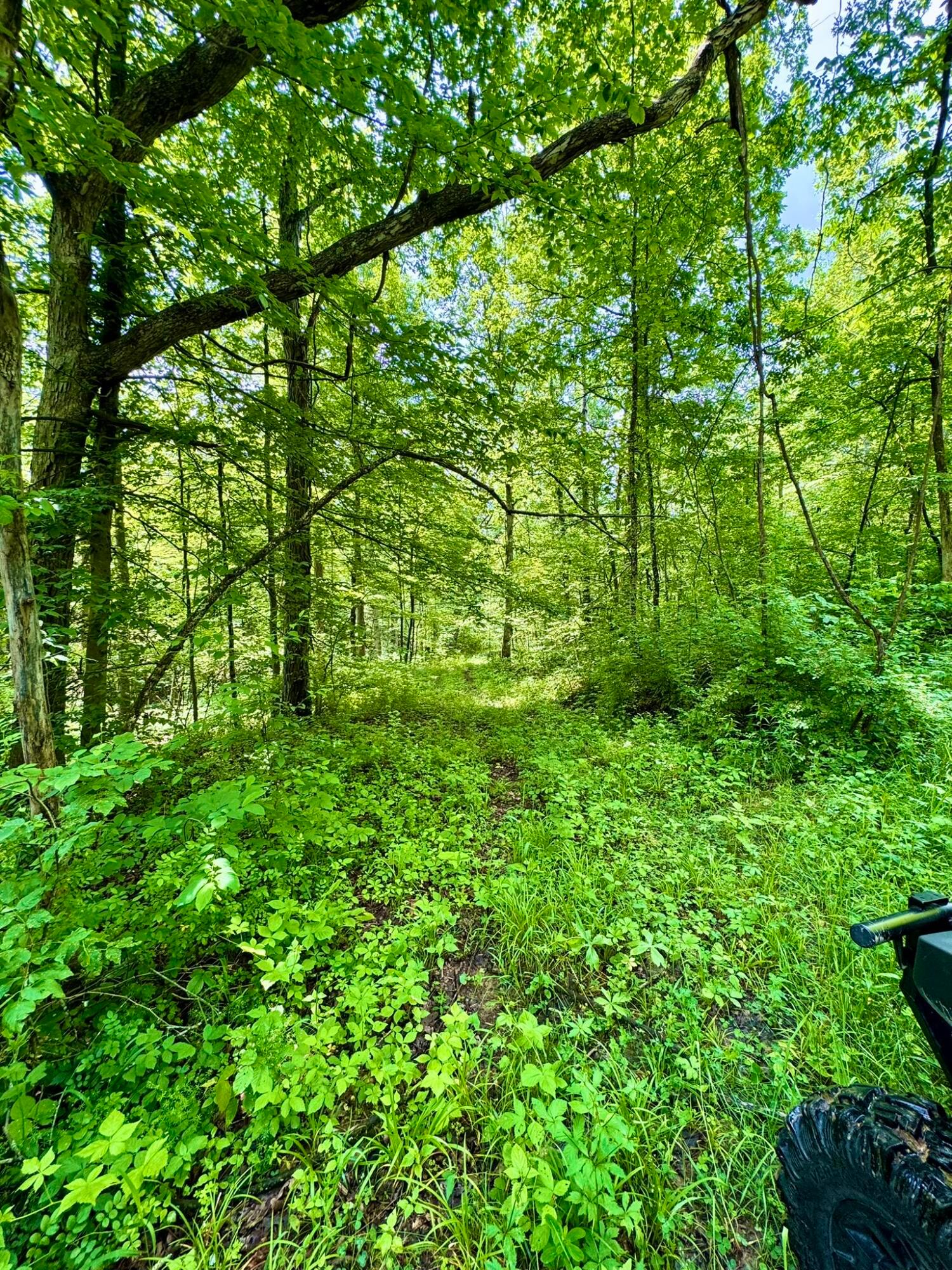 Township Road 318, Corning, Ohio image 34