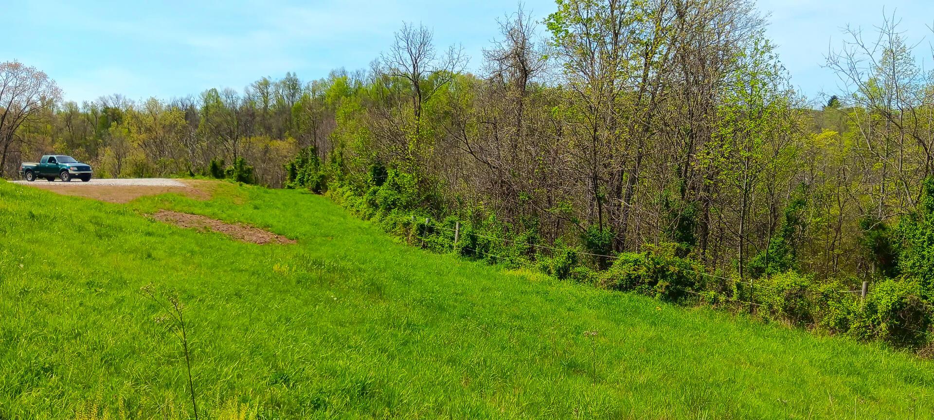 25 Garland Creek Road #CROWN WILDLIFE TRACT 5, Crown City, Ohio image 14