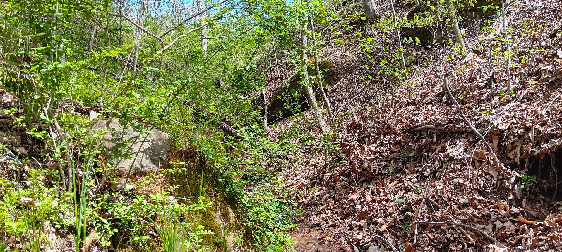 25 Garland Creek Road #CROWN WILDLIFE TRACT 5, Crown City, Ohio image 43