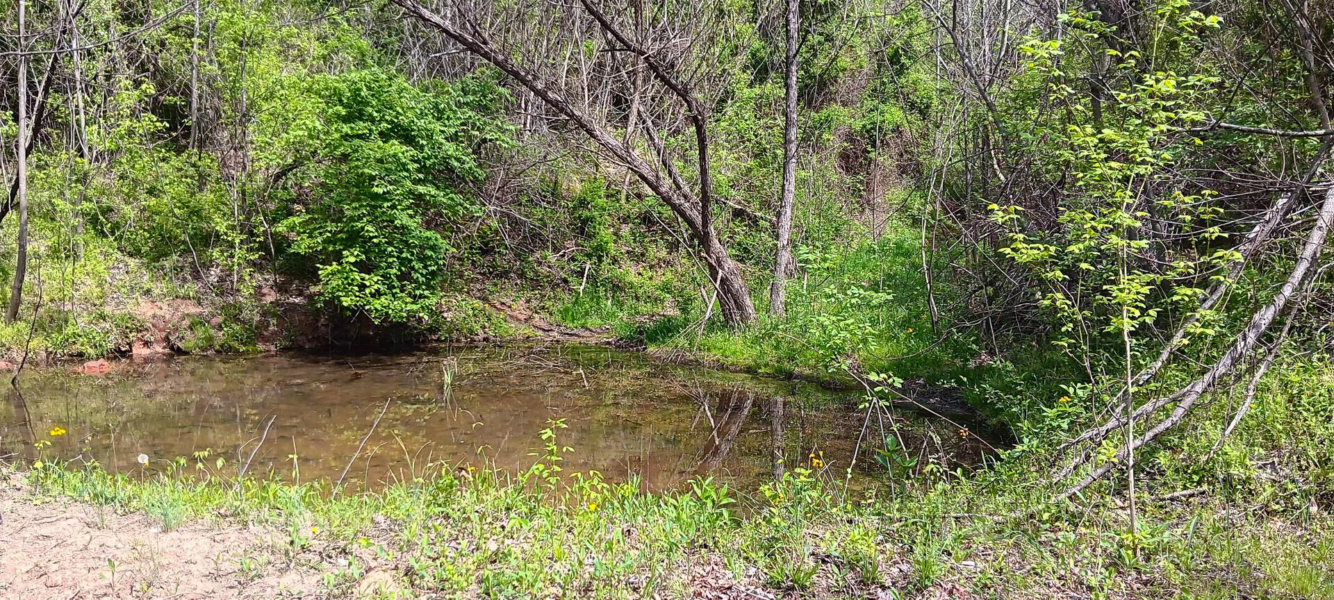 25 Garland Creek Road #CROWN WILDLIFE TRACT 5, Crown City, Ohio image 33