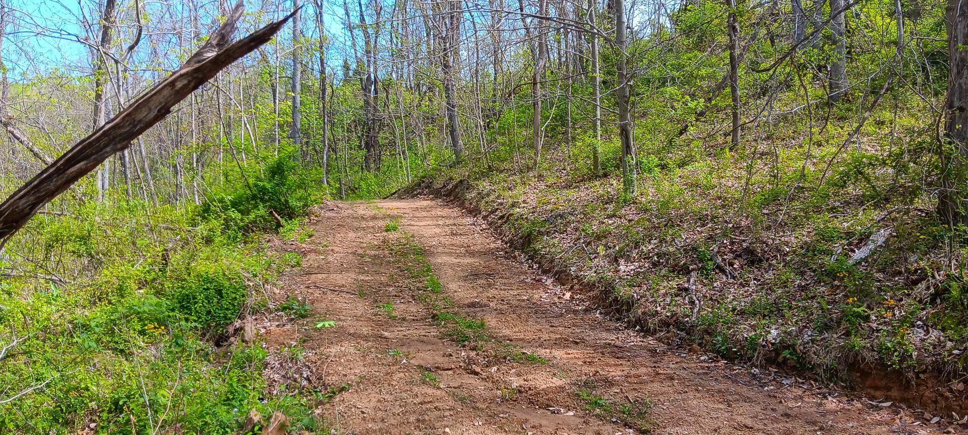 25 Garland Creek Road #CROWN WILDLIFE TRACT 5, Crown City, Ohio image 21