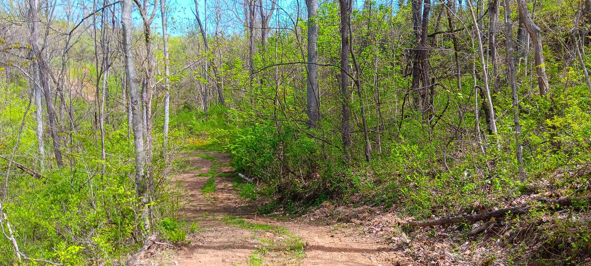 25 Garland Creek Road #CROWN WILDLIFE TRACT 5, Crown City, Ohio image 26