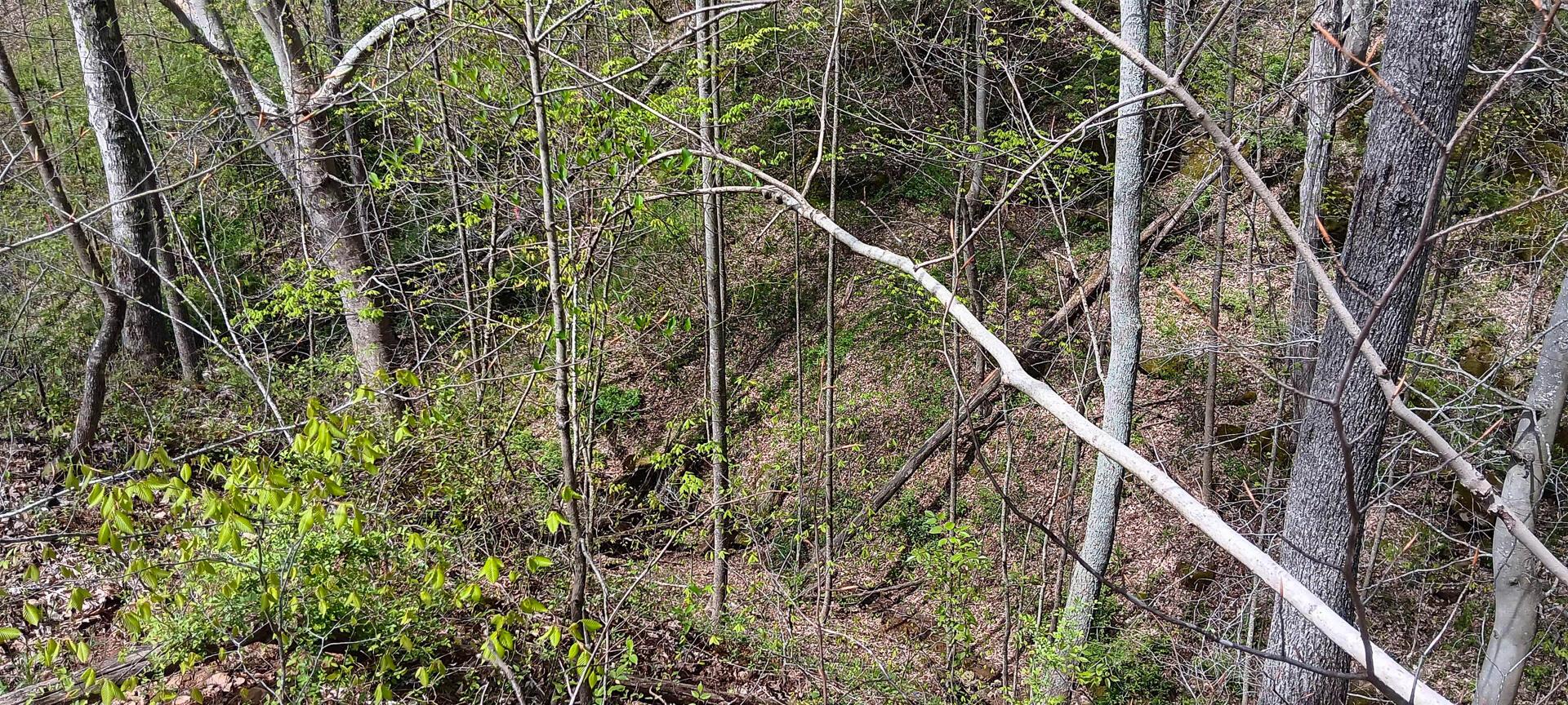 25 Garland Creek Road #CROWN WILDLIFE TRACT 5, Crown City, Ohio image 19